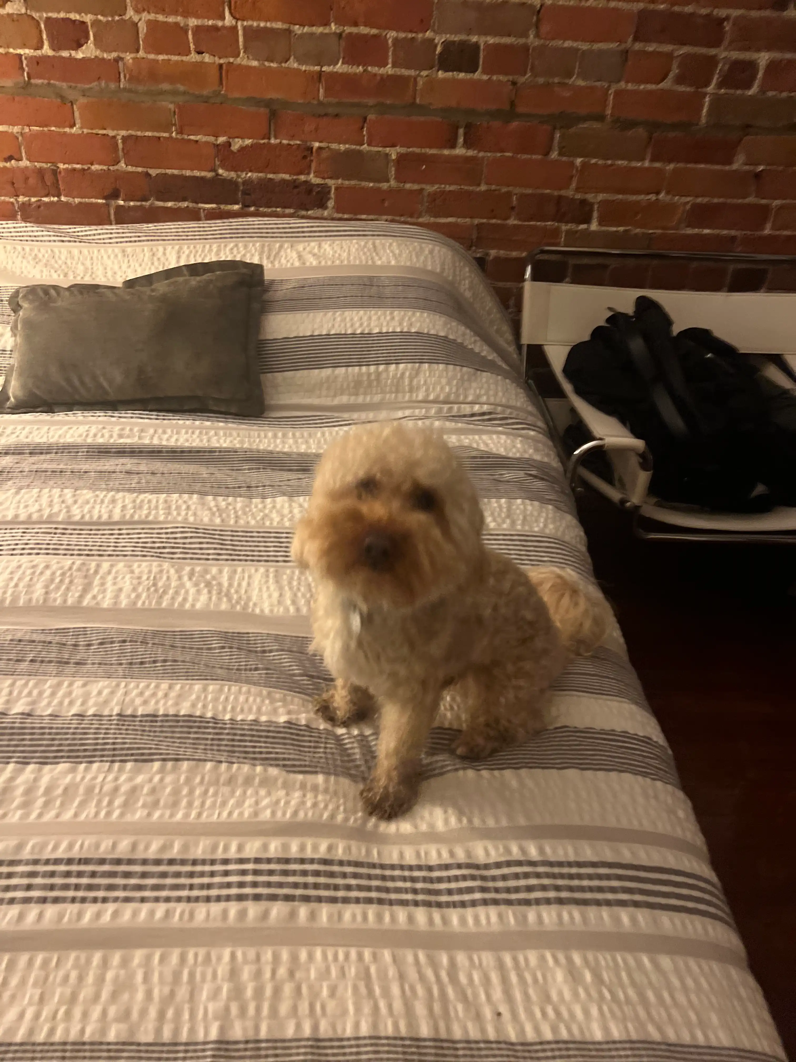 image-9