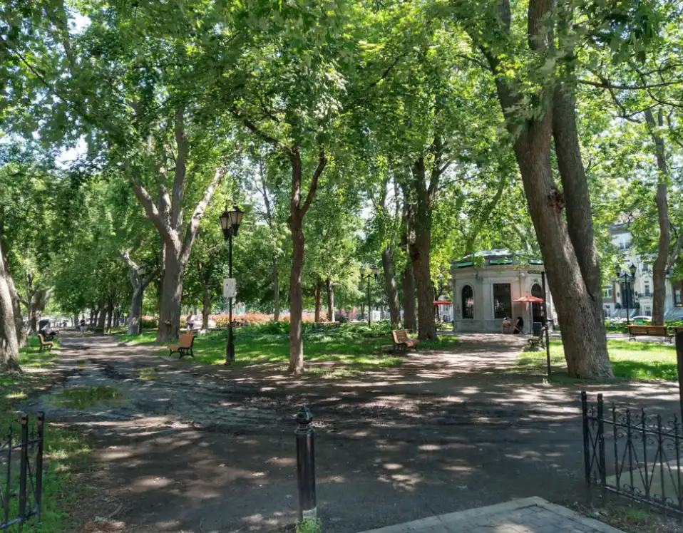 image-20