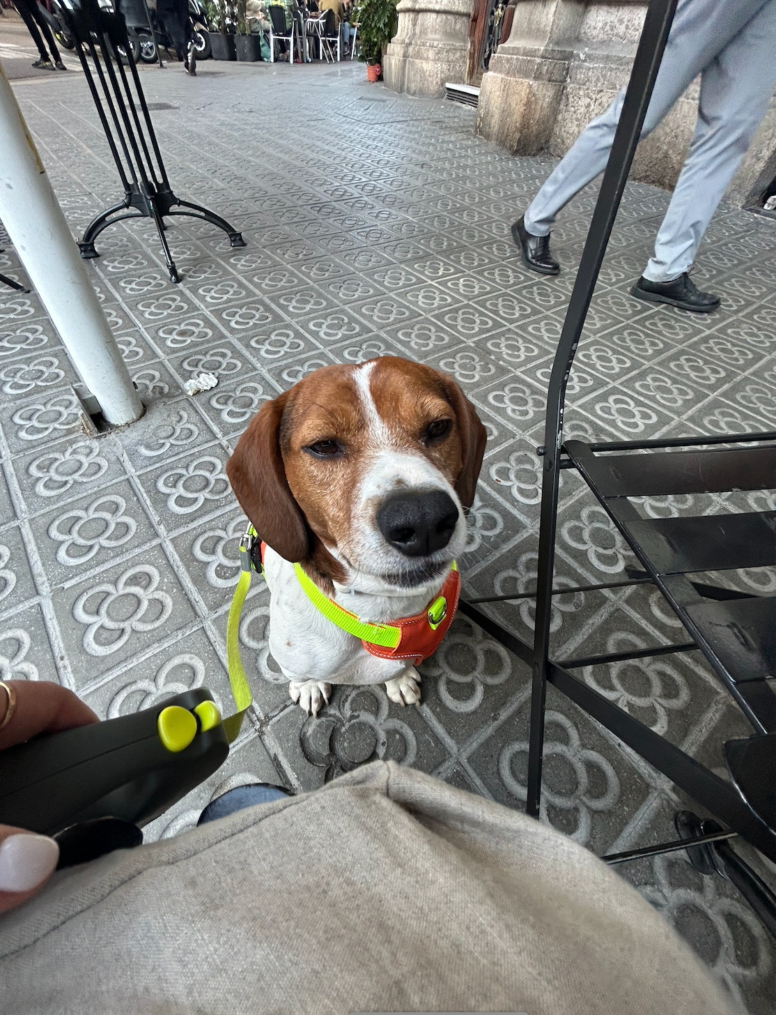 image-7
