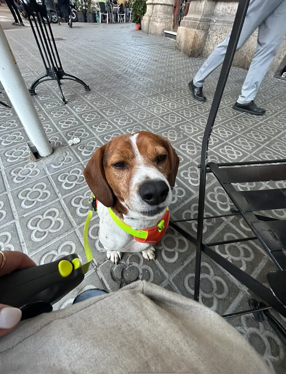 image-7