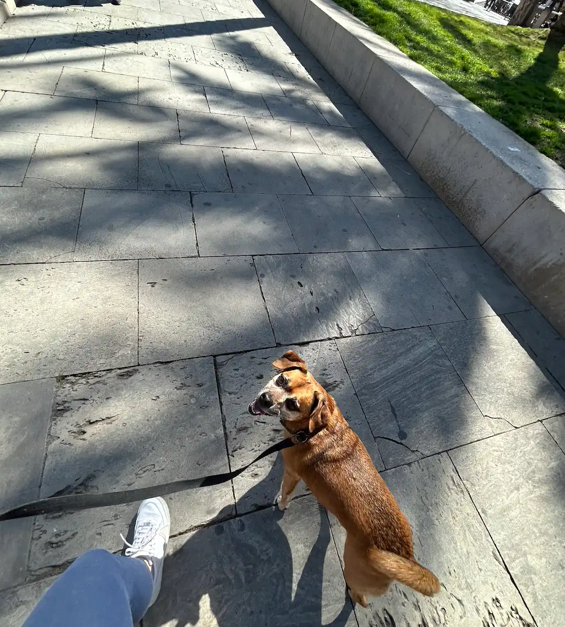image-6