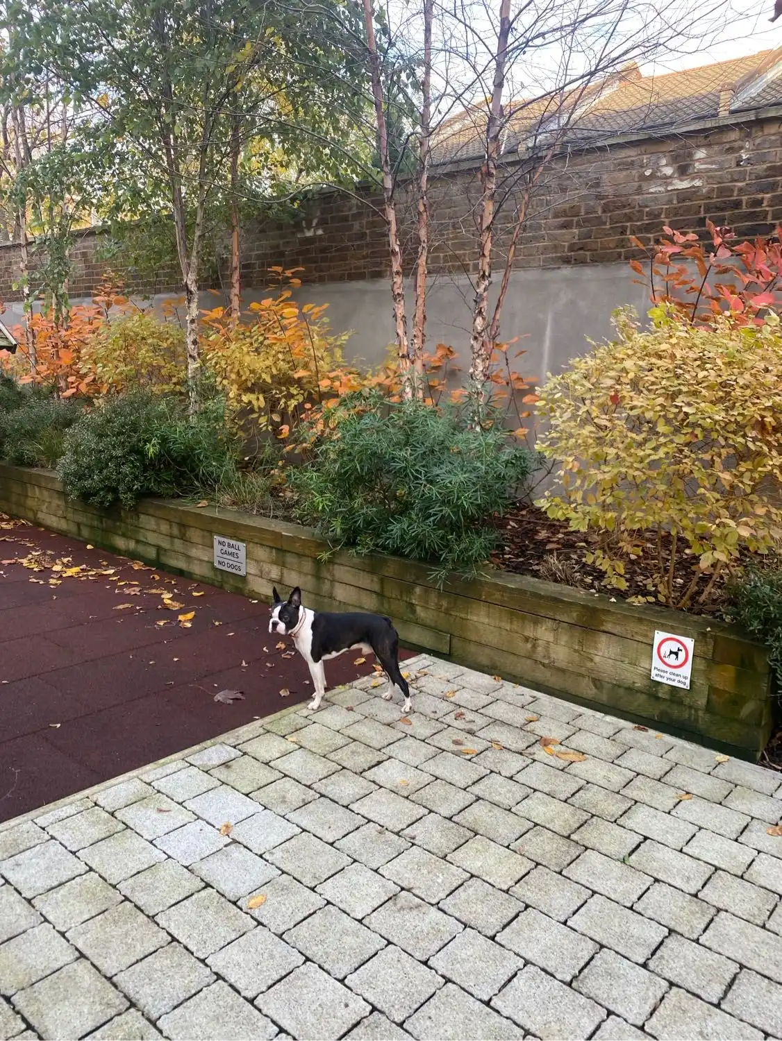 image-13