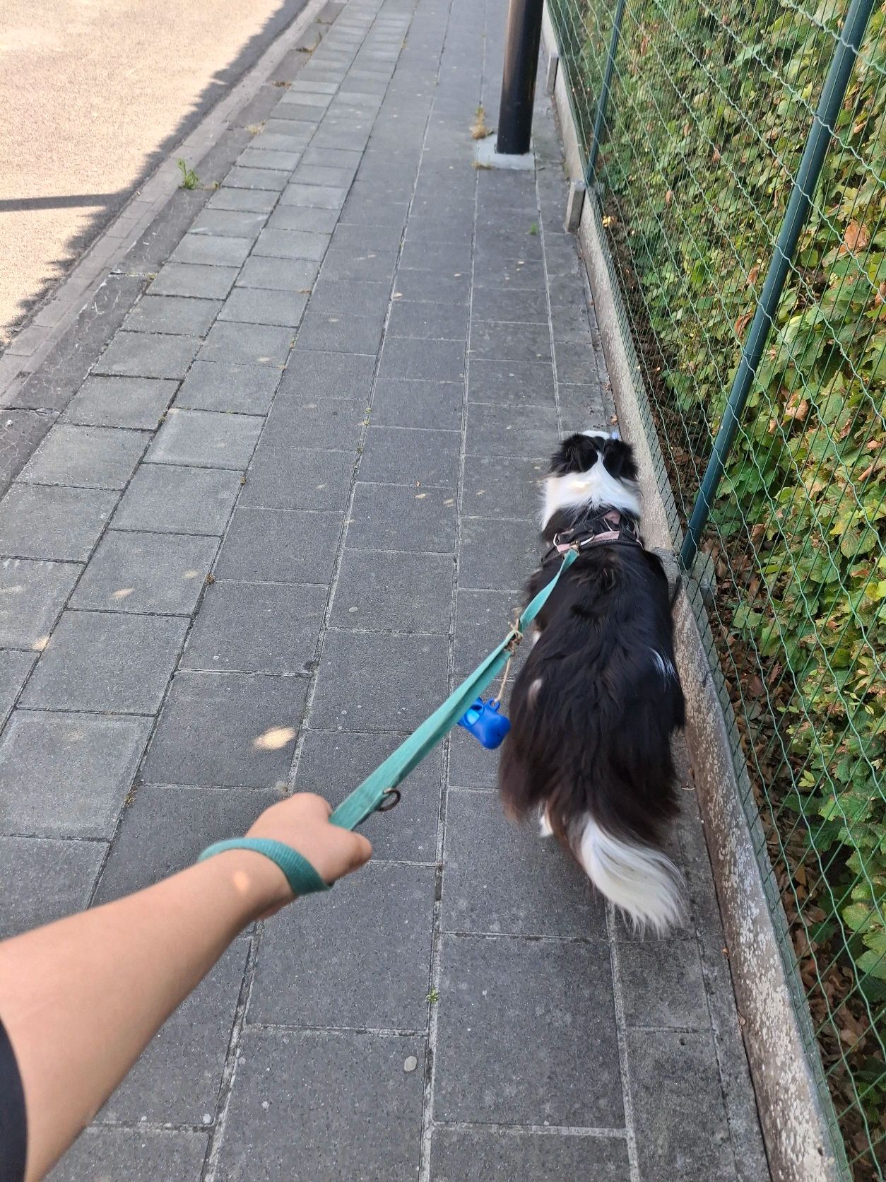 image-5