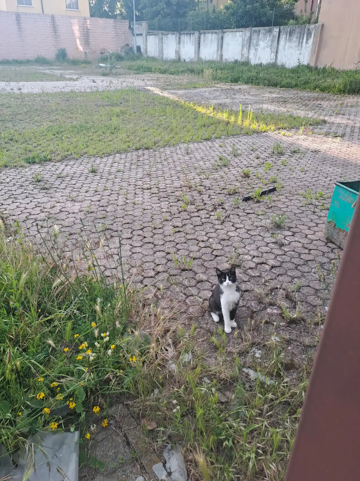 image-13