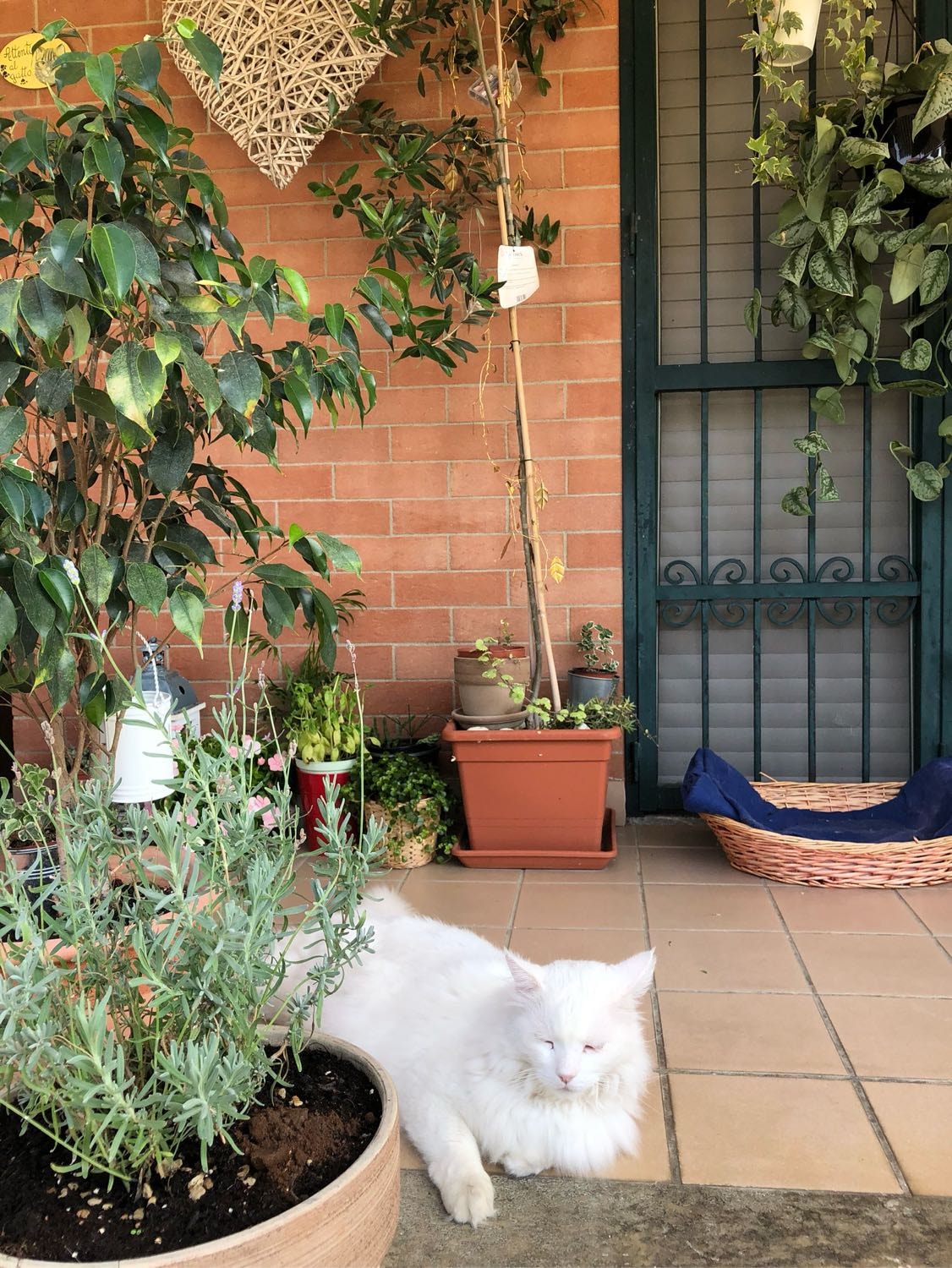 image-12