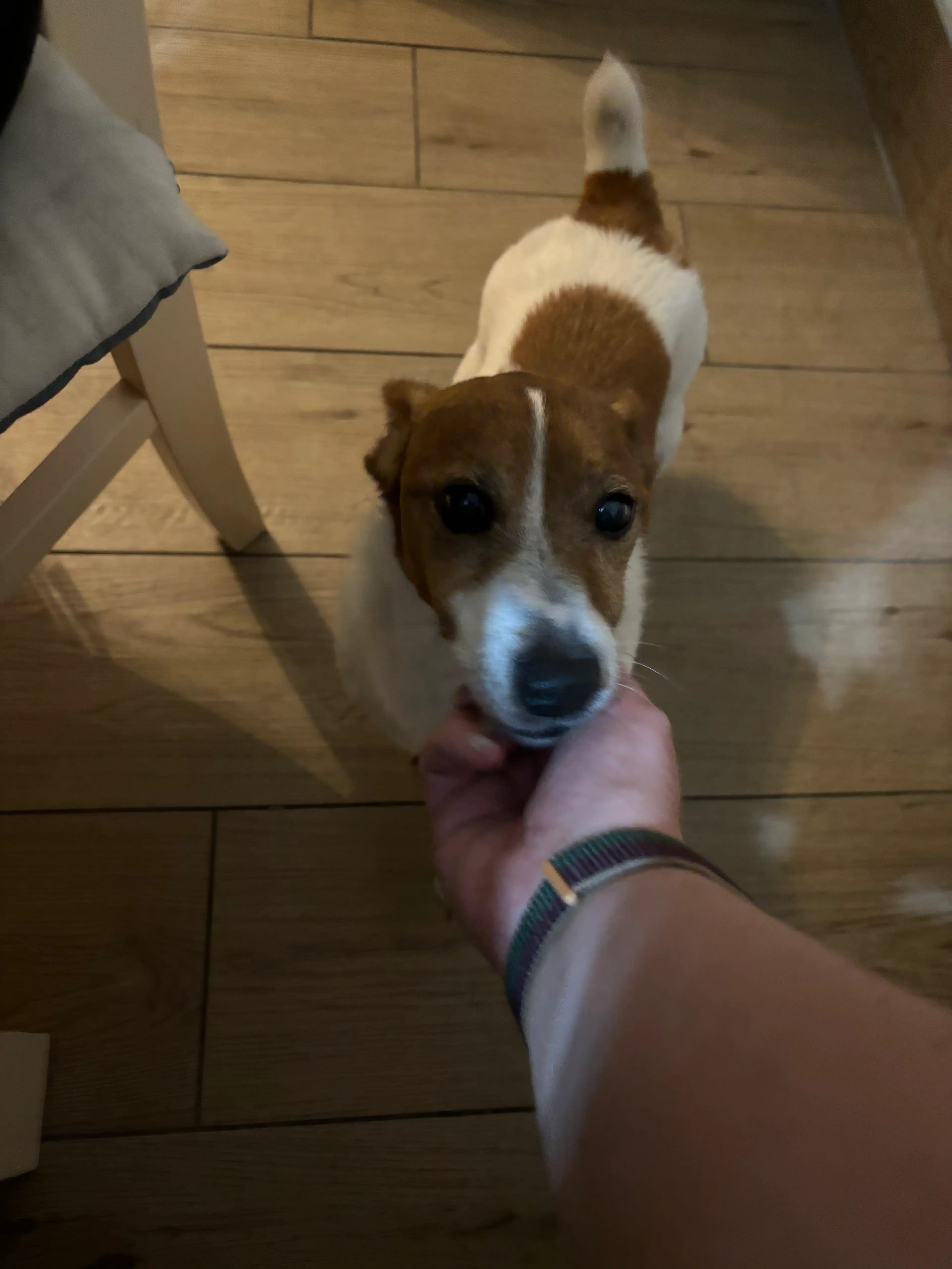 image-7