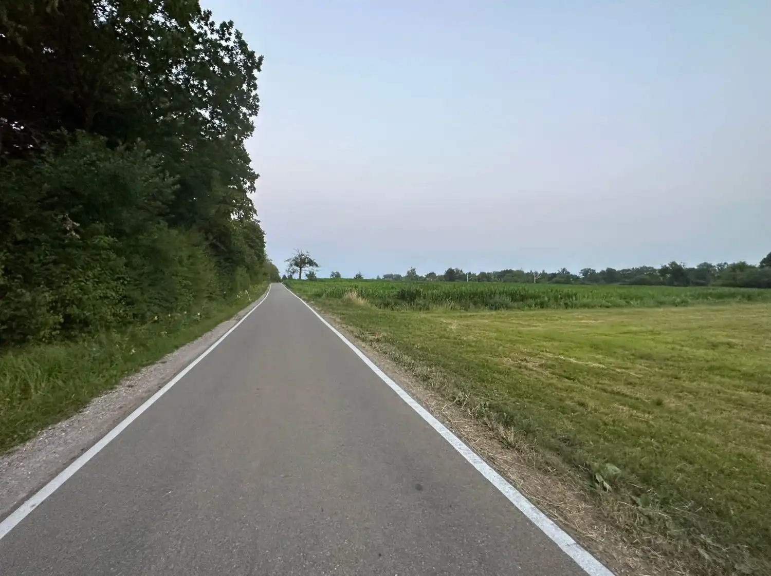 image-20
