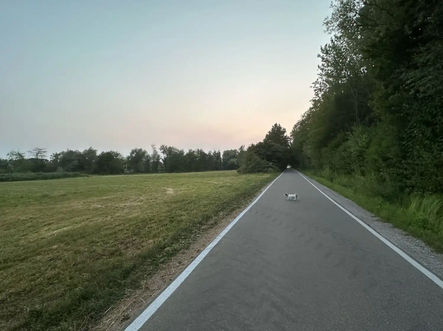 image-18