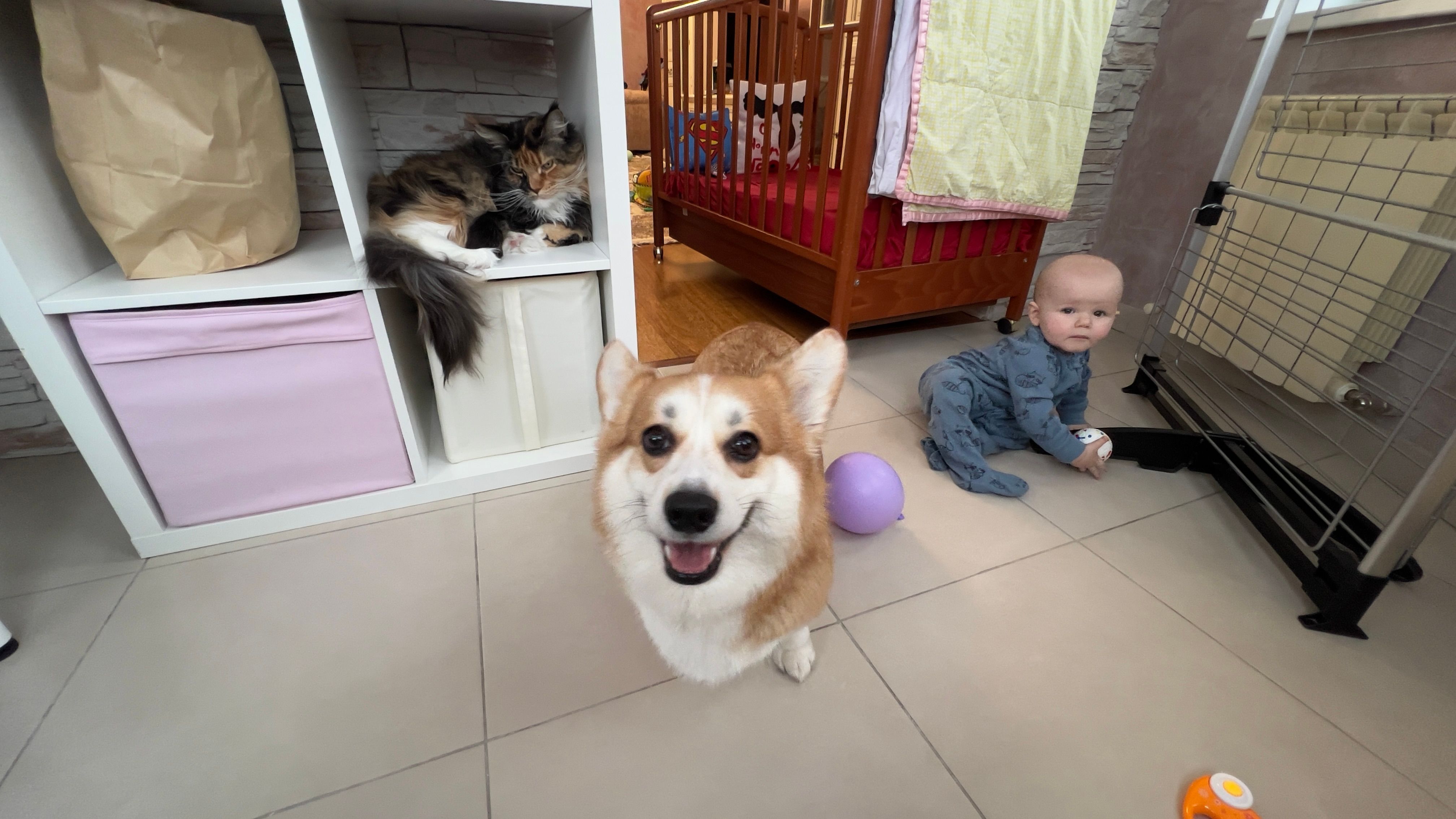 image-2