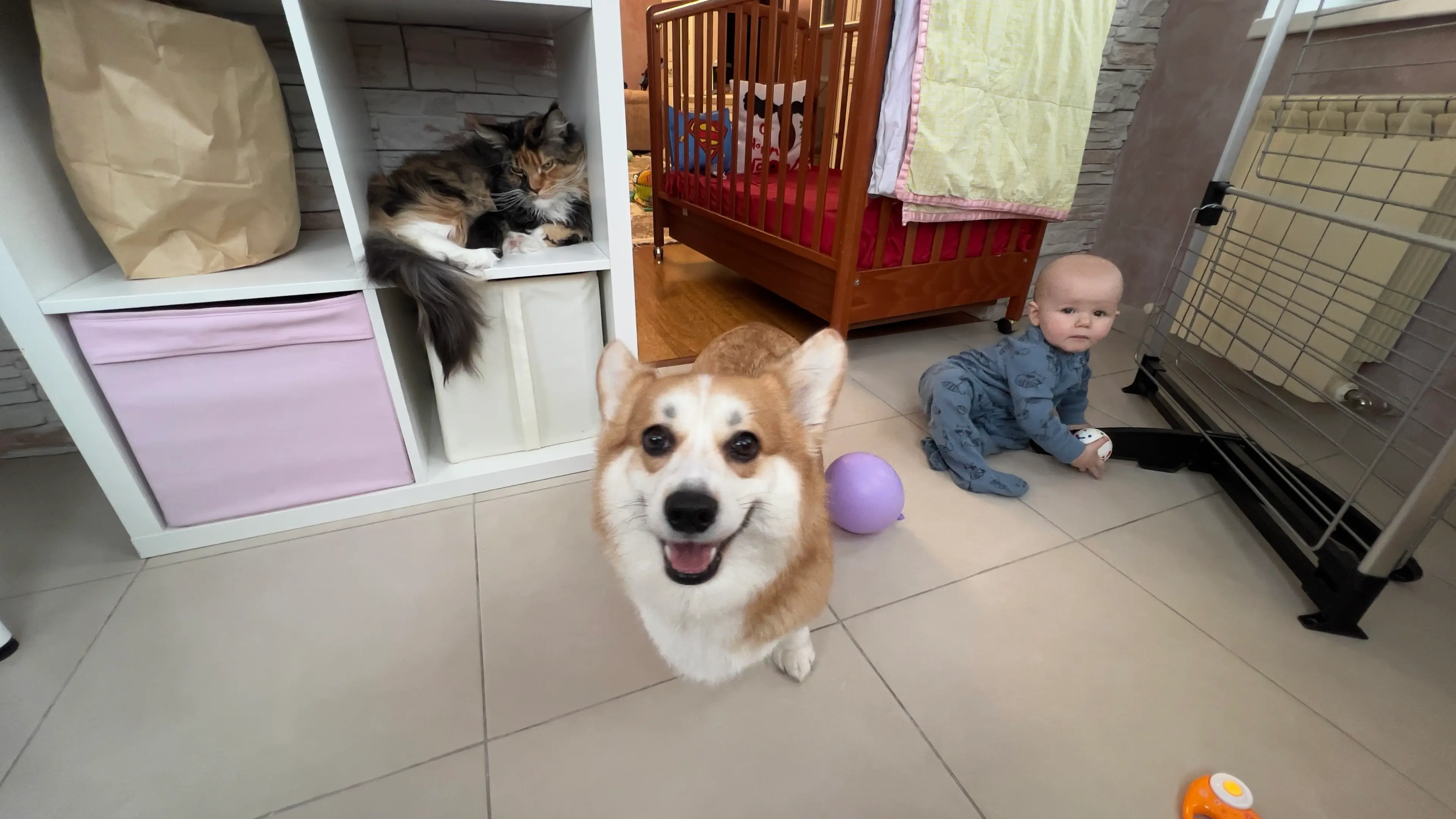 image-2