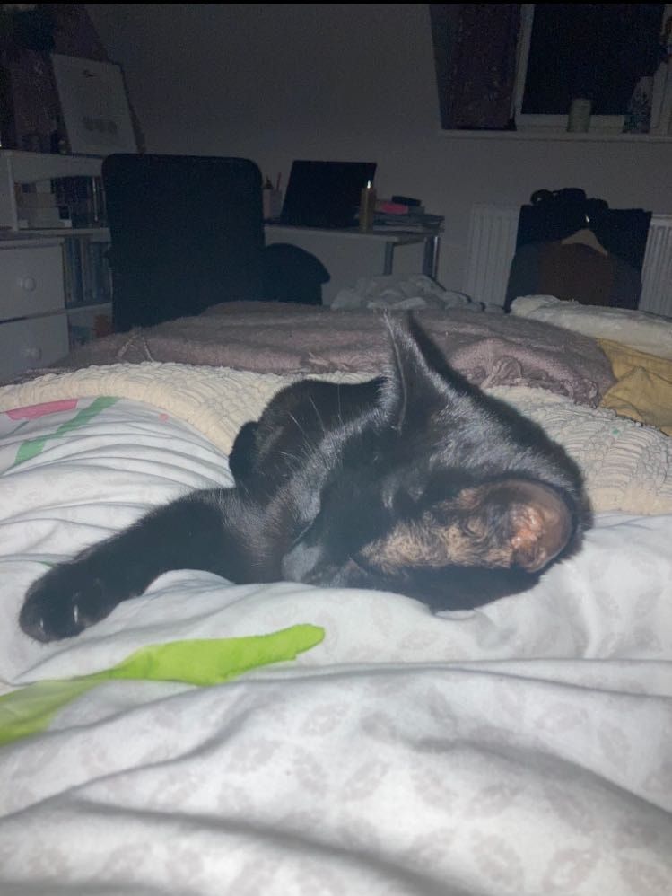 image-6