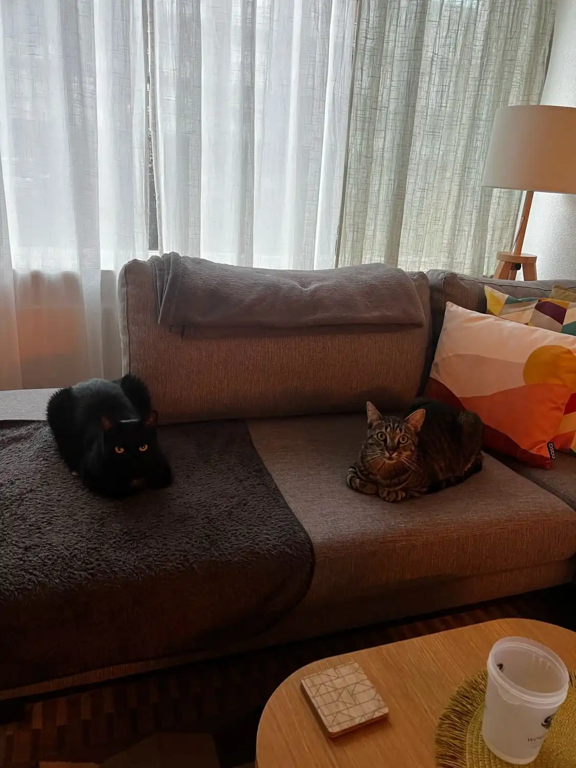 image-7