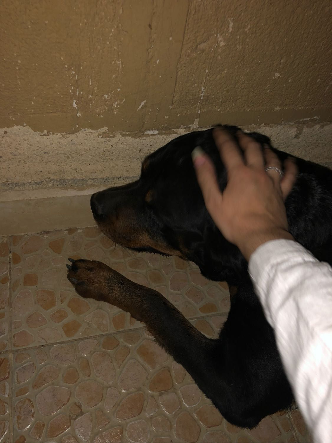 image-7