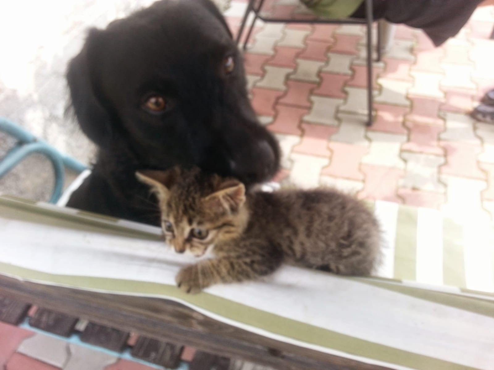 image-7