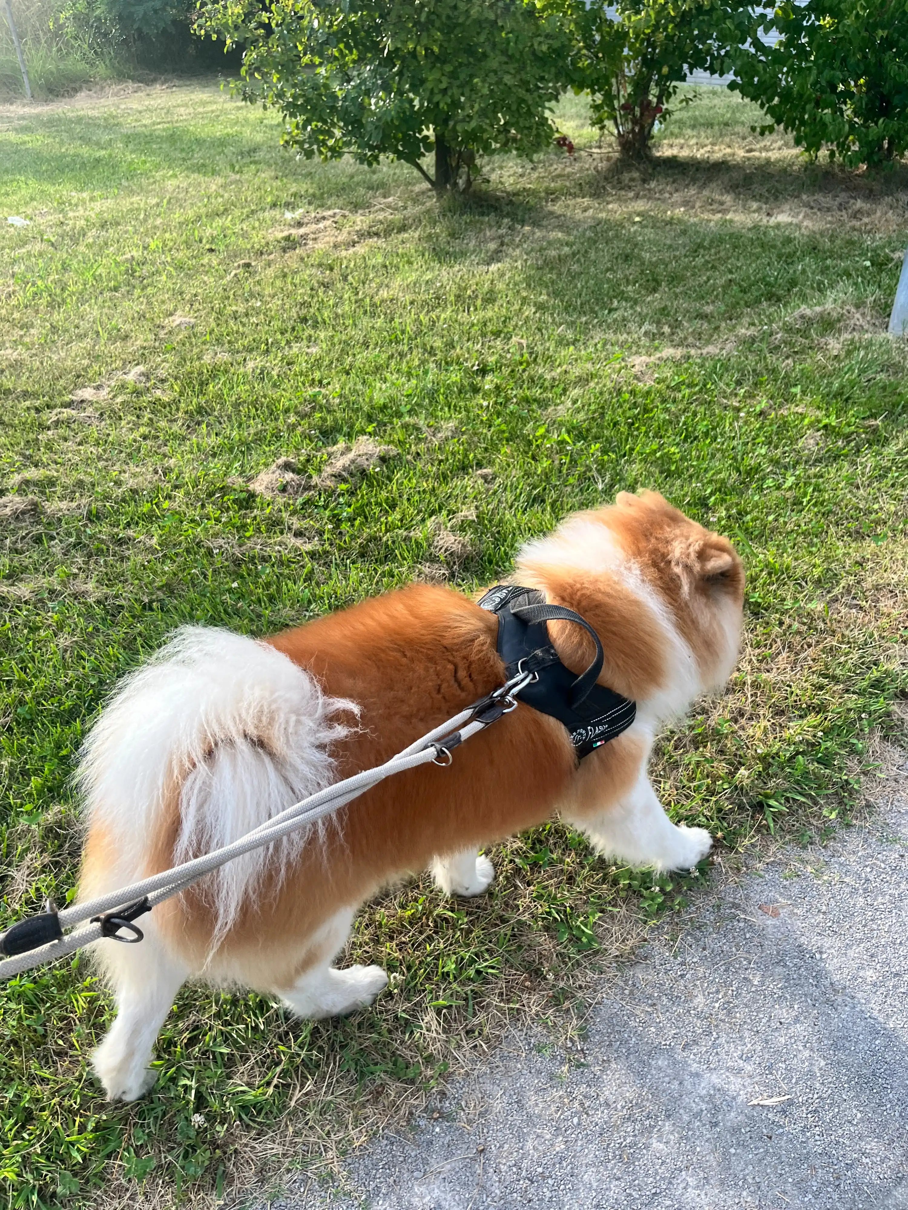 image-8