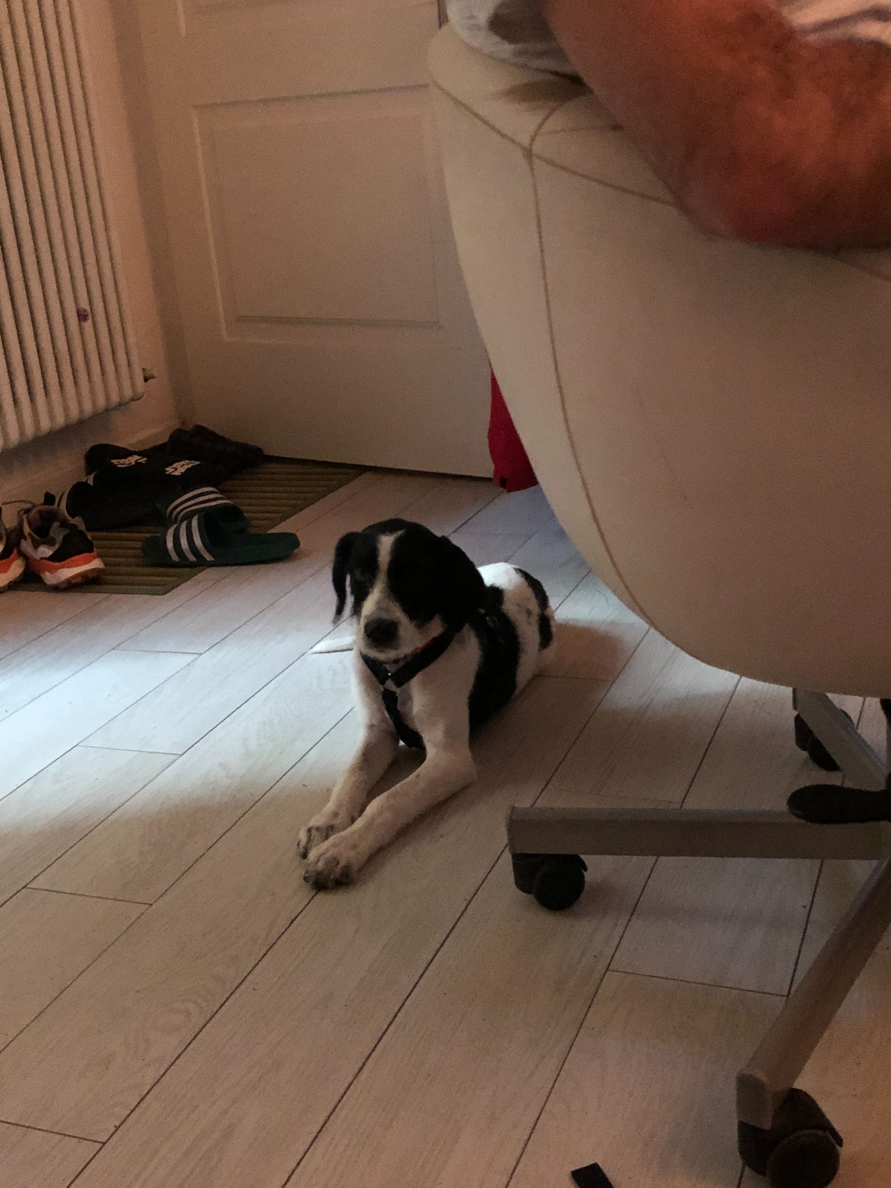 image-43