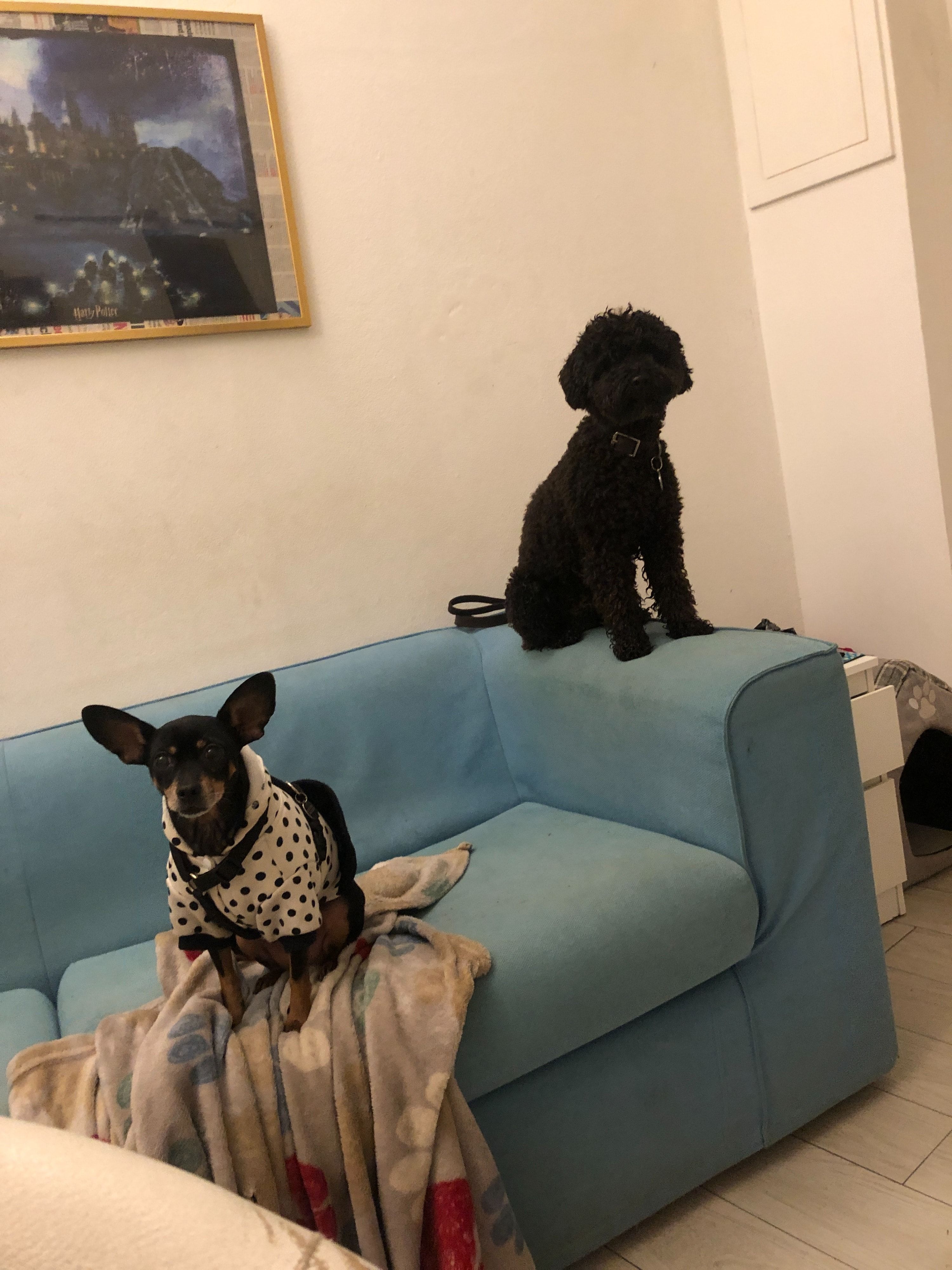 image-31
