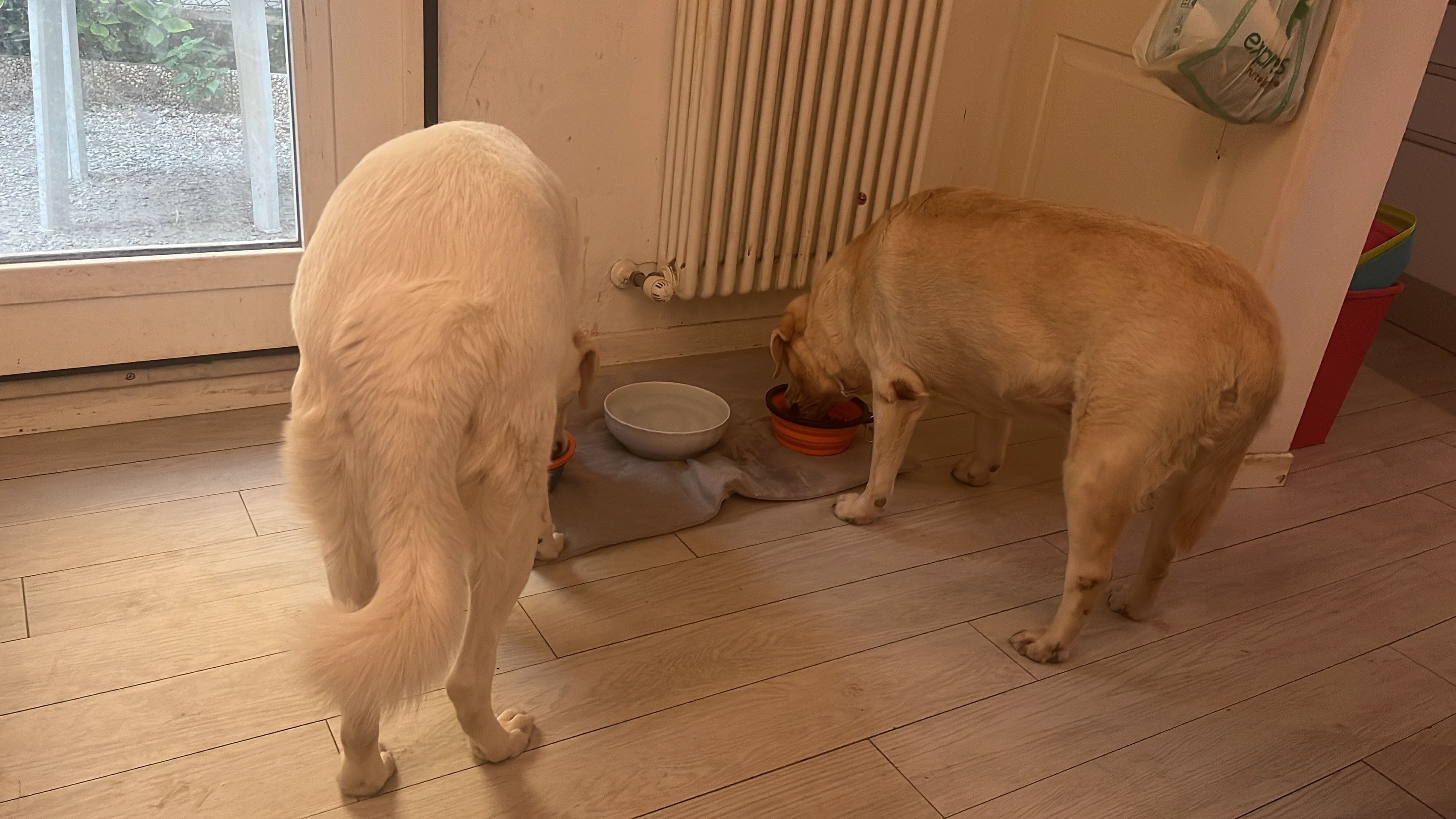 image-66