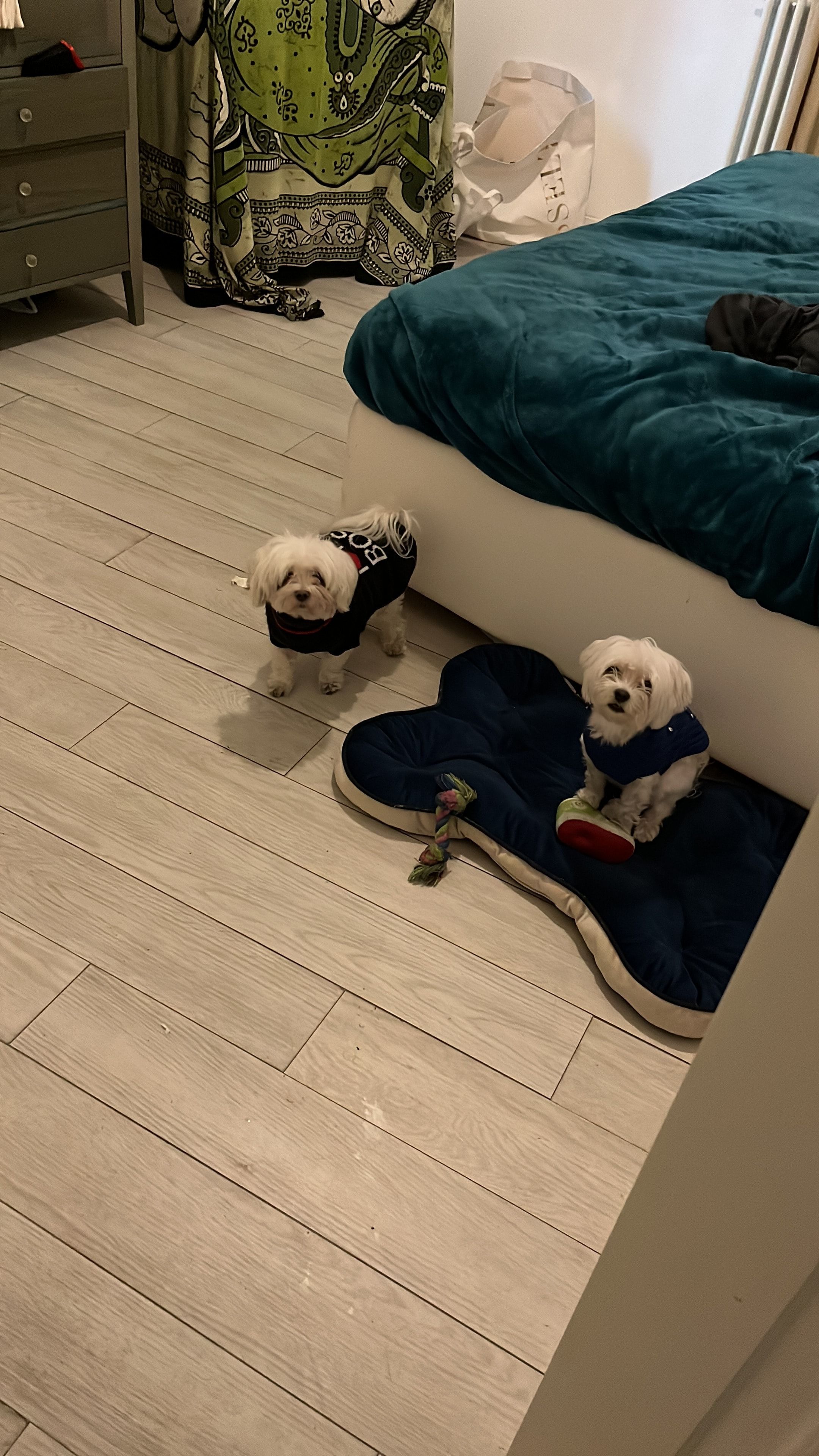 image-4