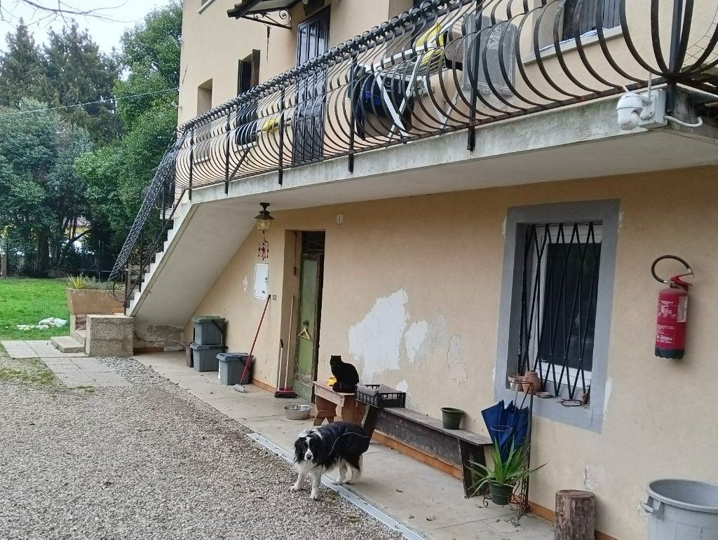 image-17