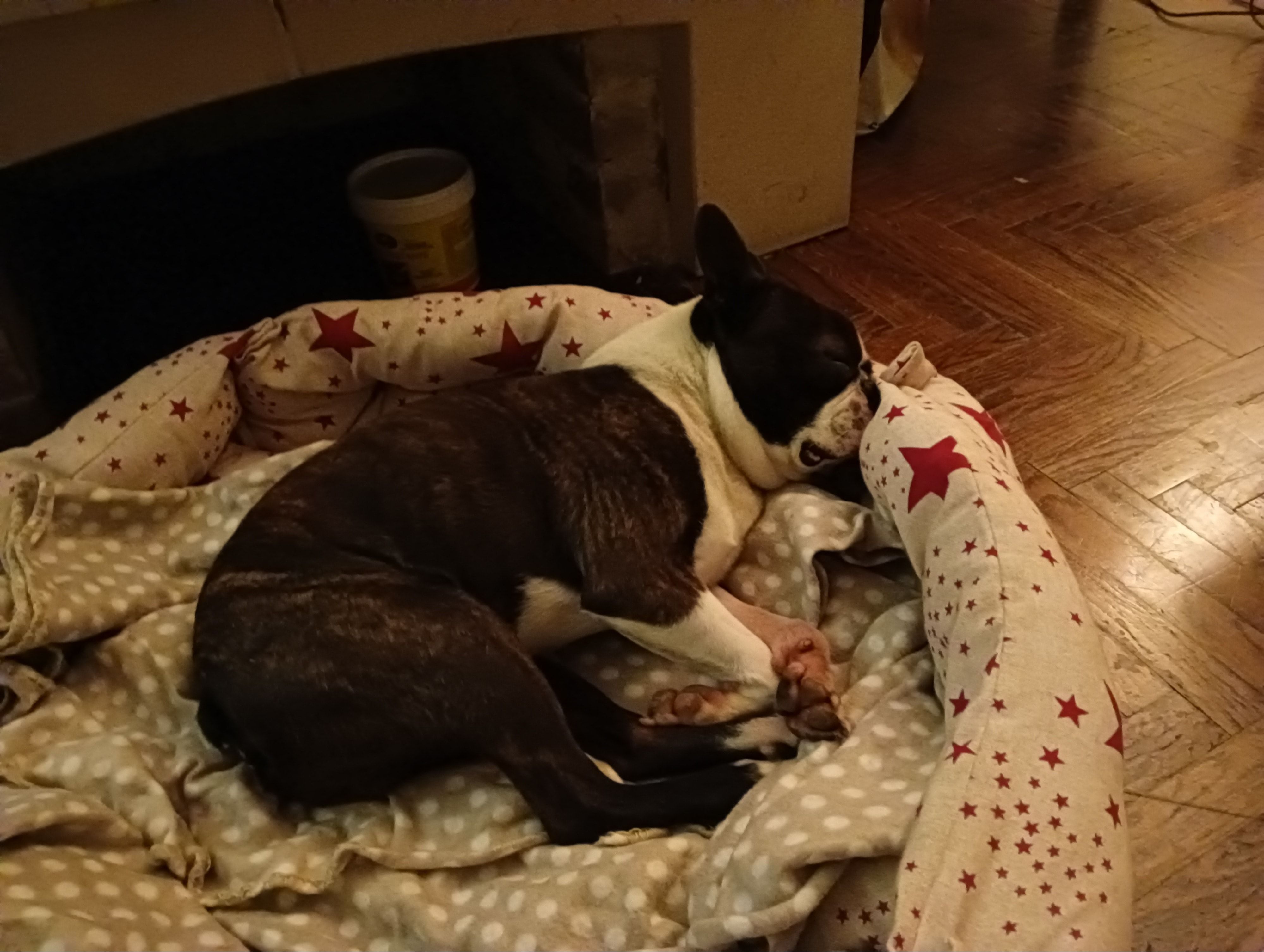 image-13