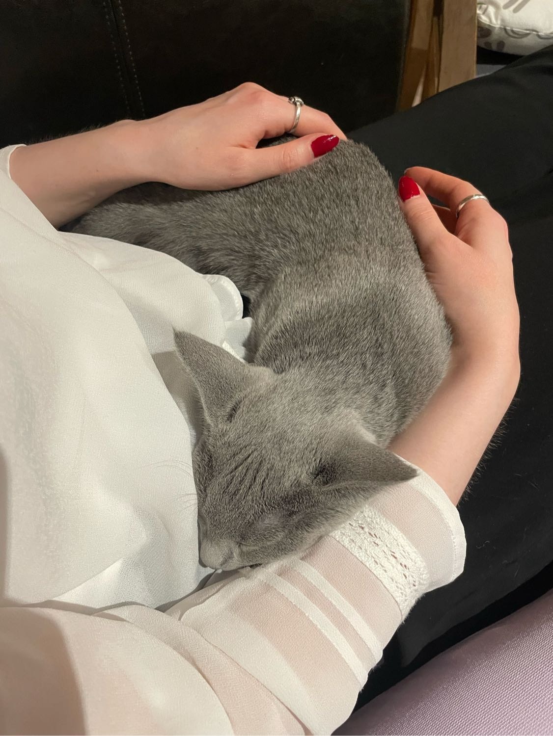 image-8