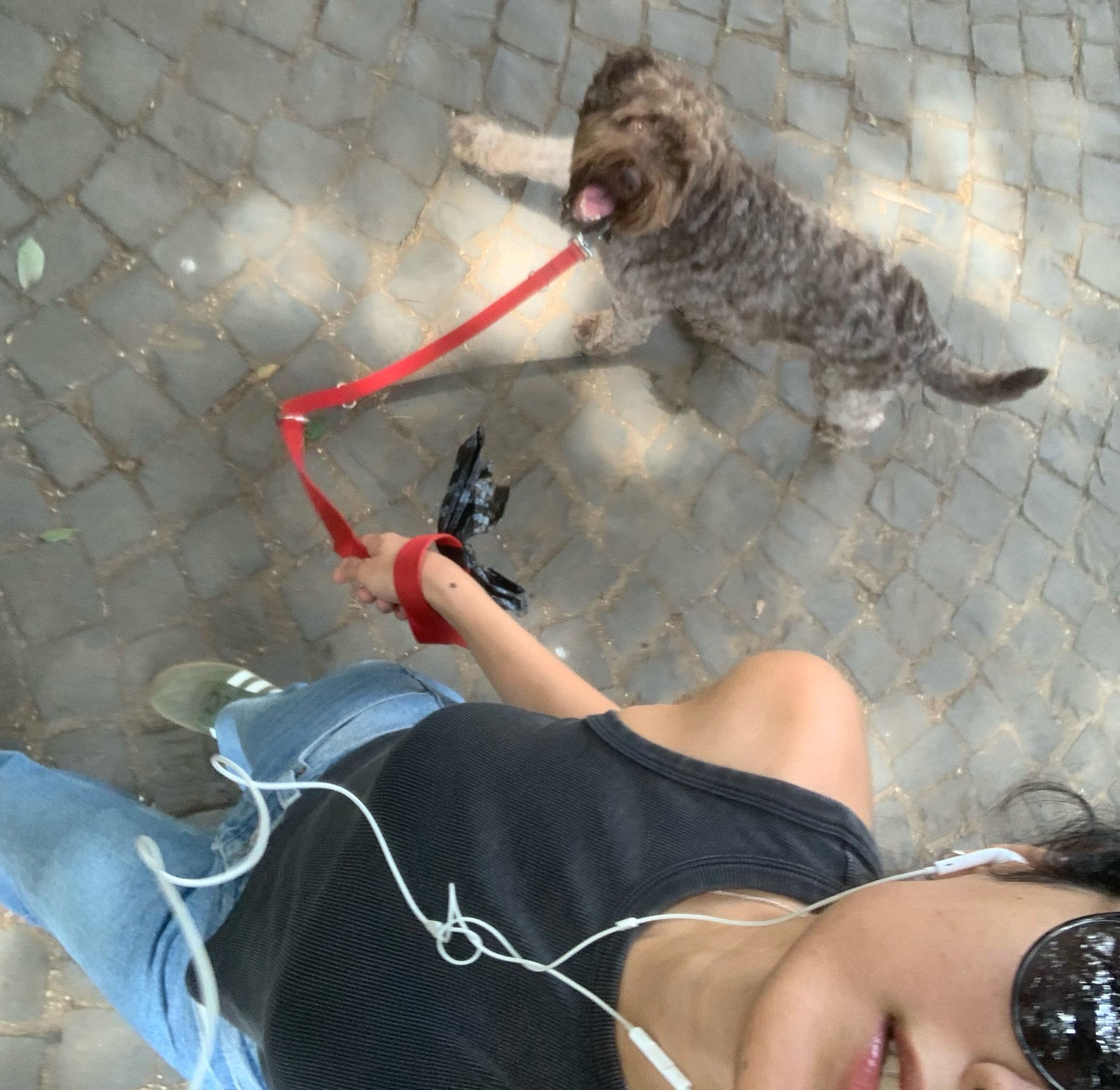 image-7