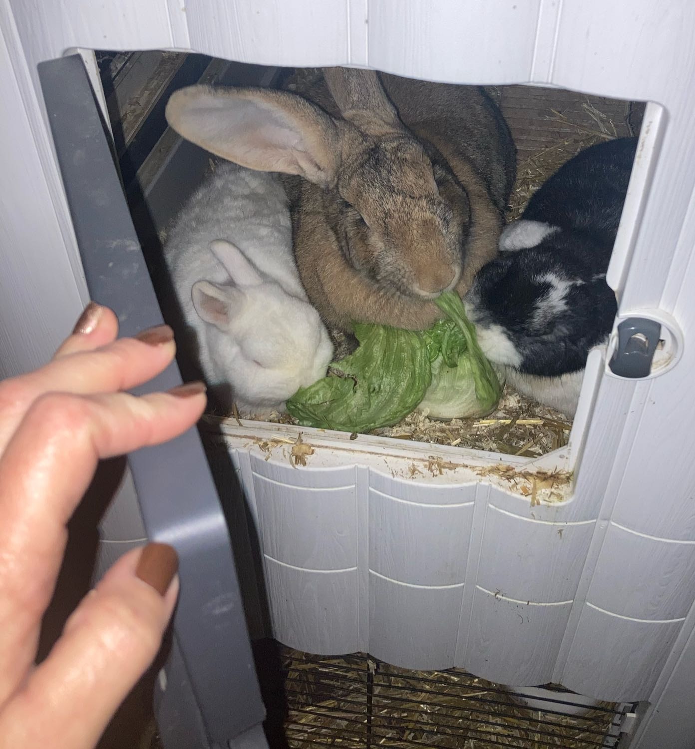 image-8