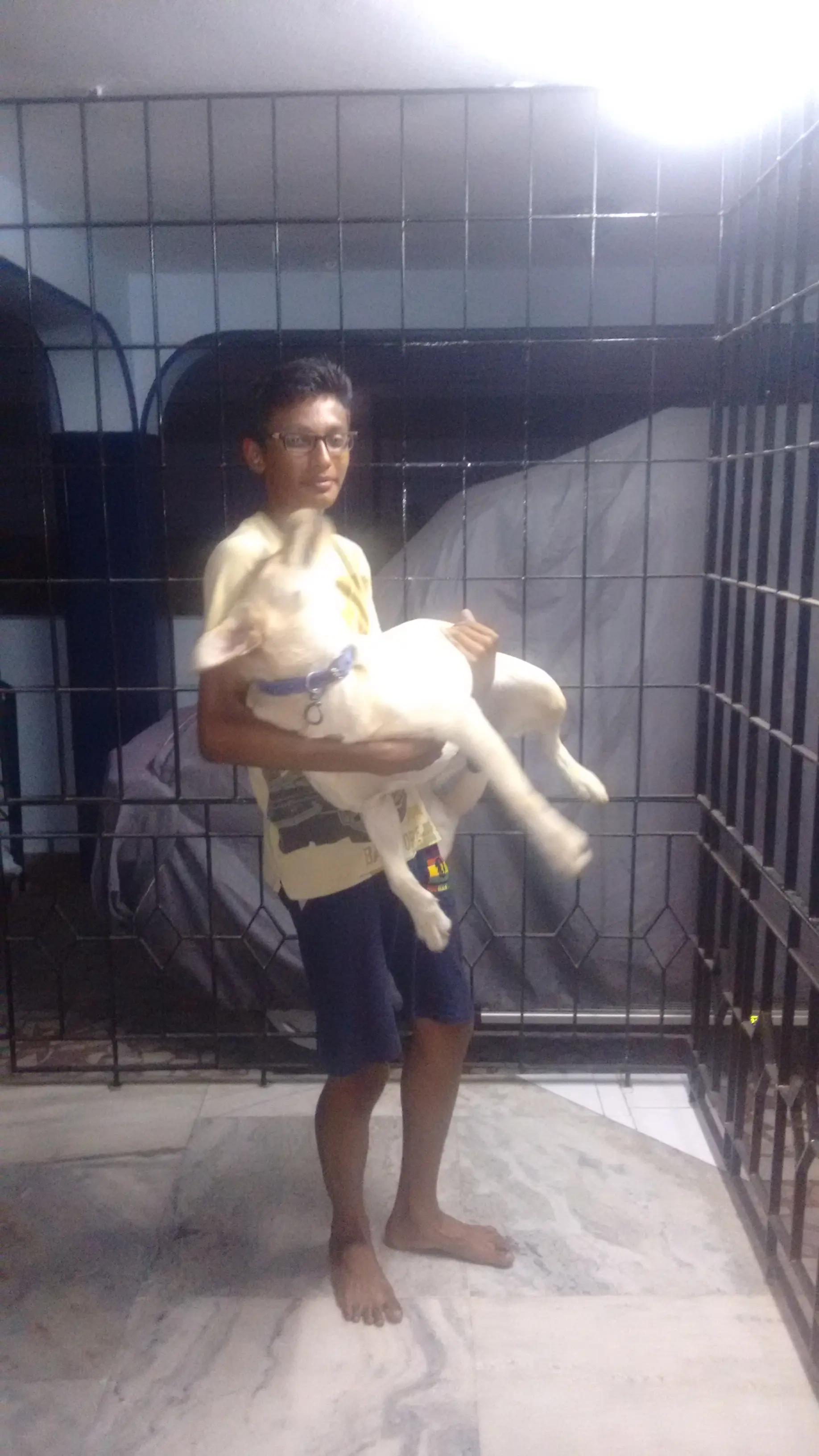 image-4