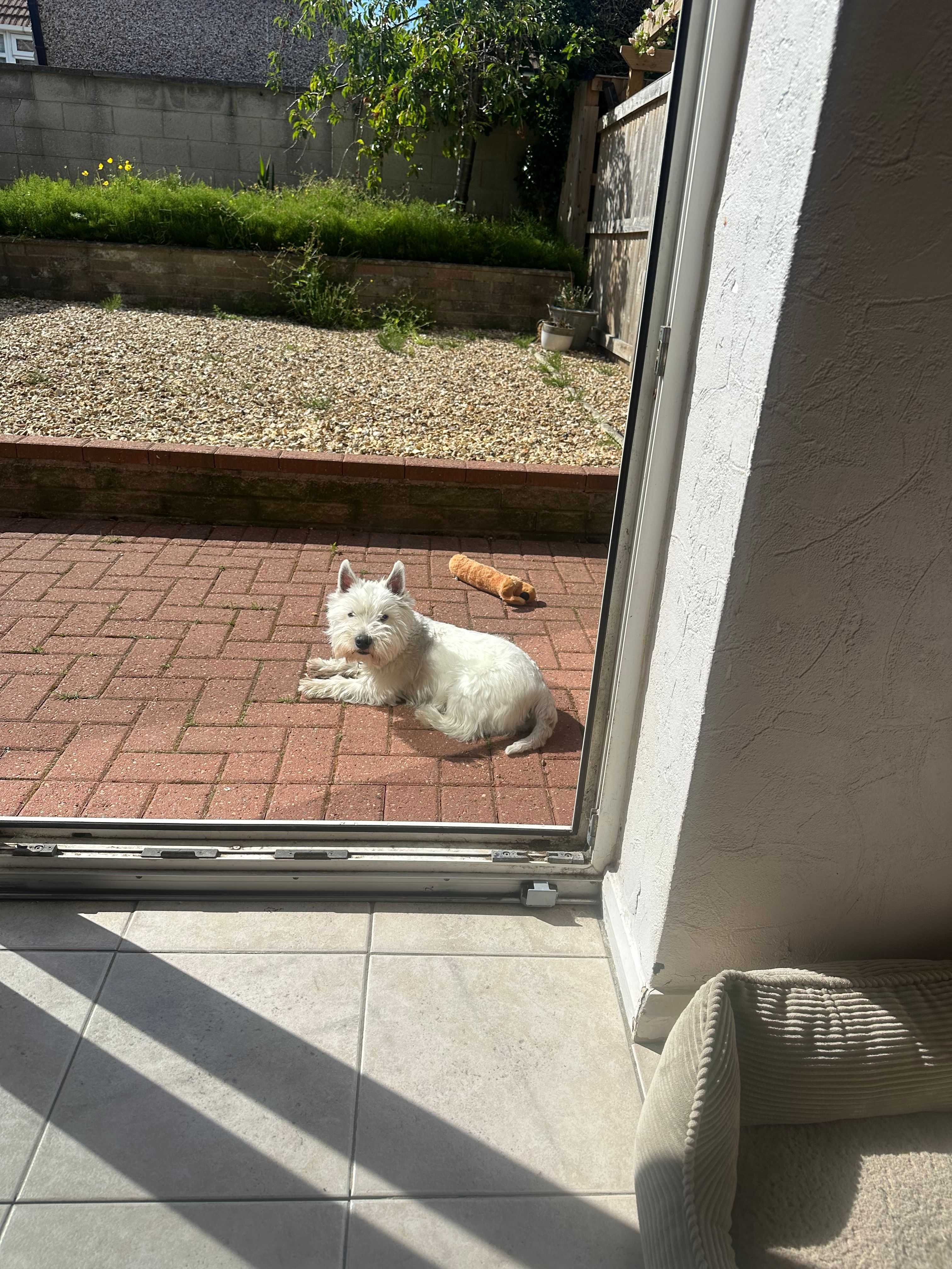 image-8