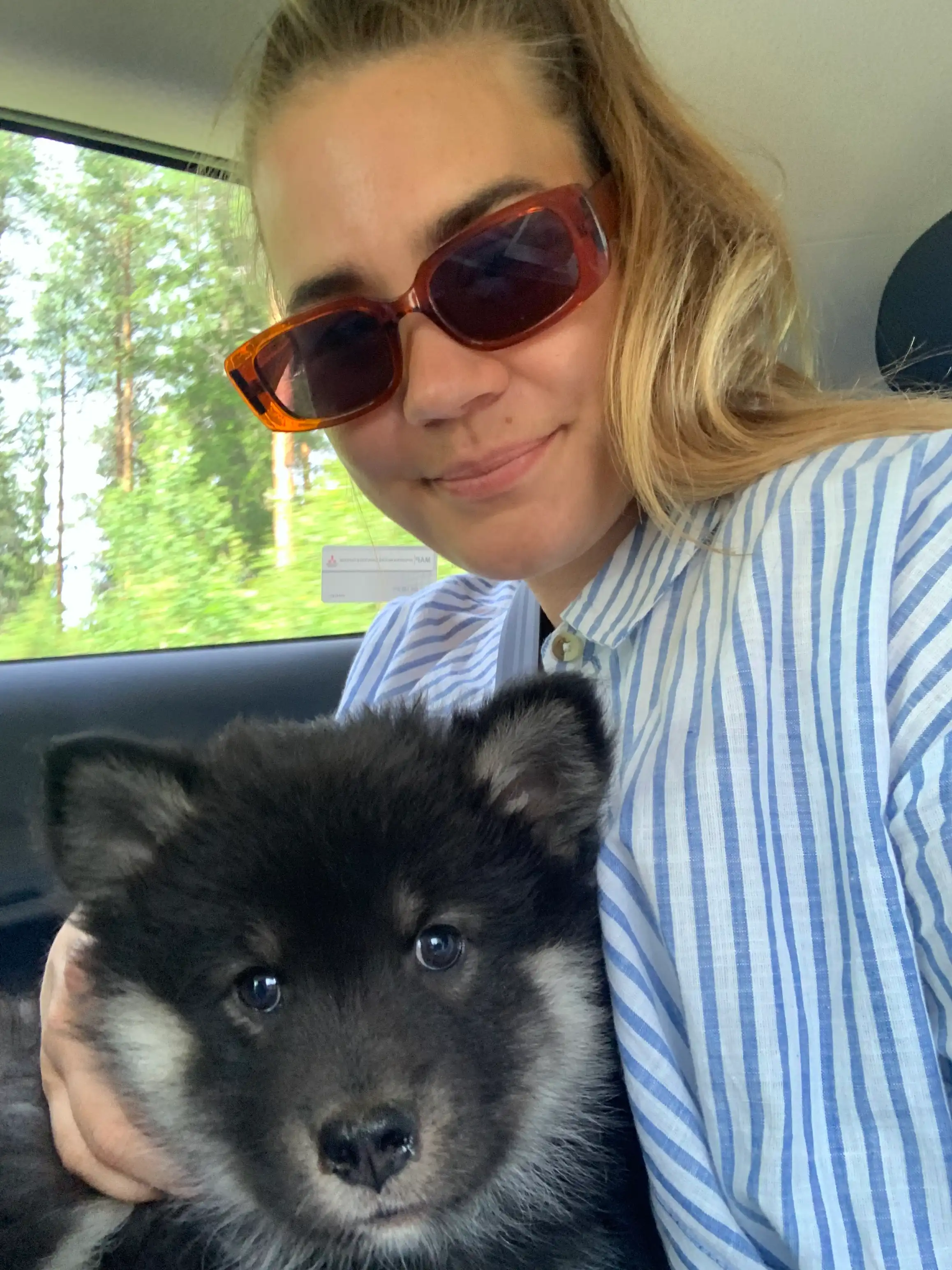 image-8
