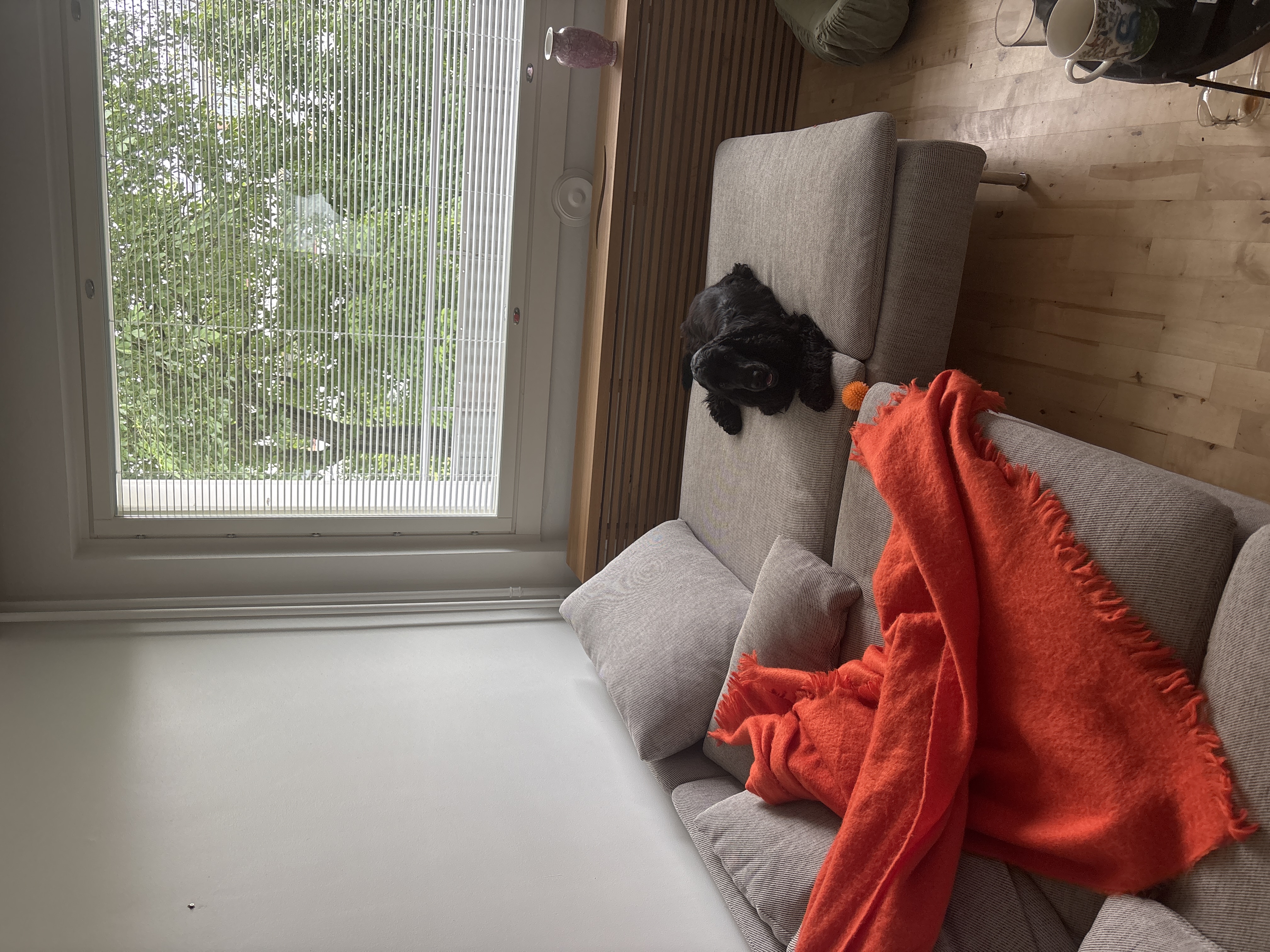 image-16