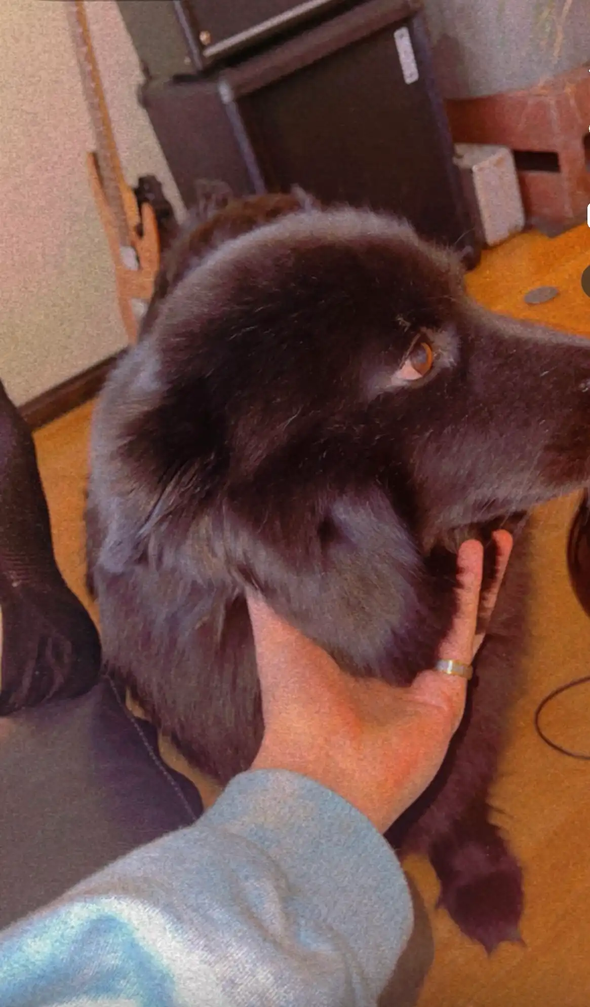 image-5