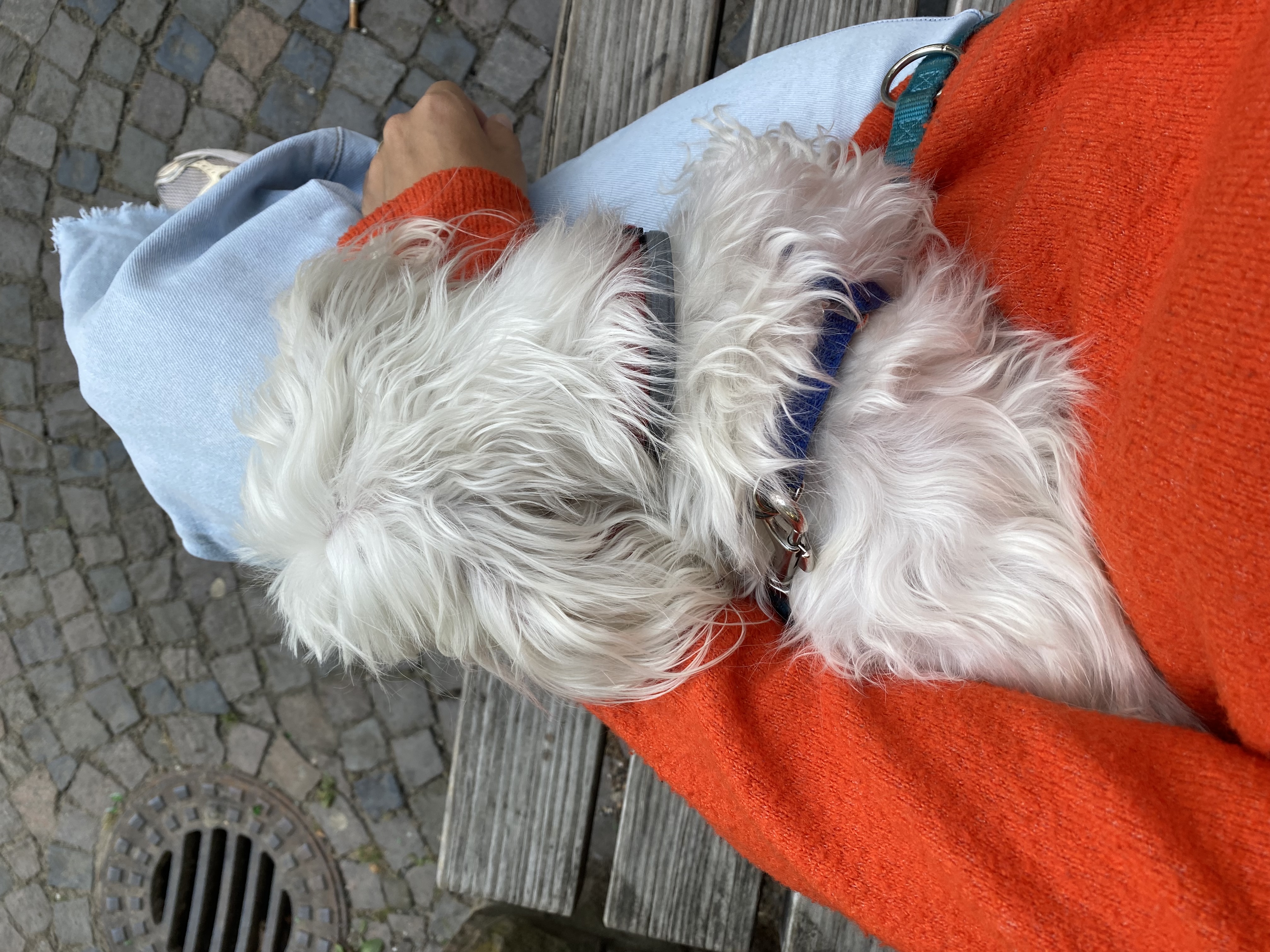 image-20