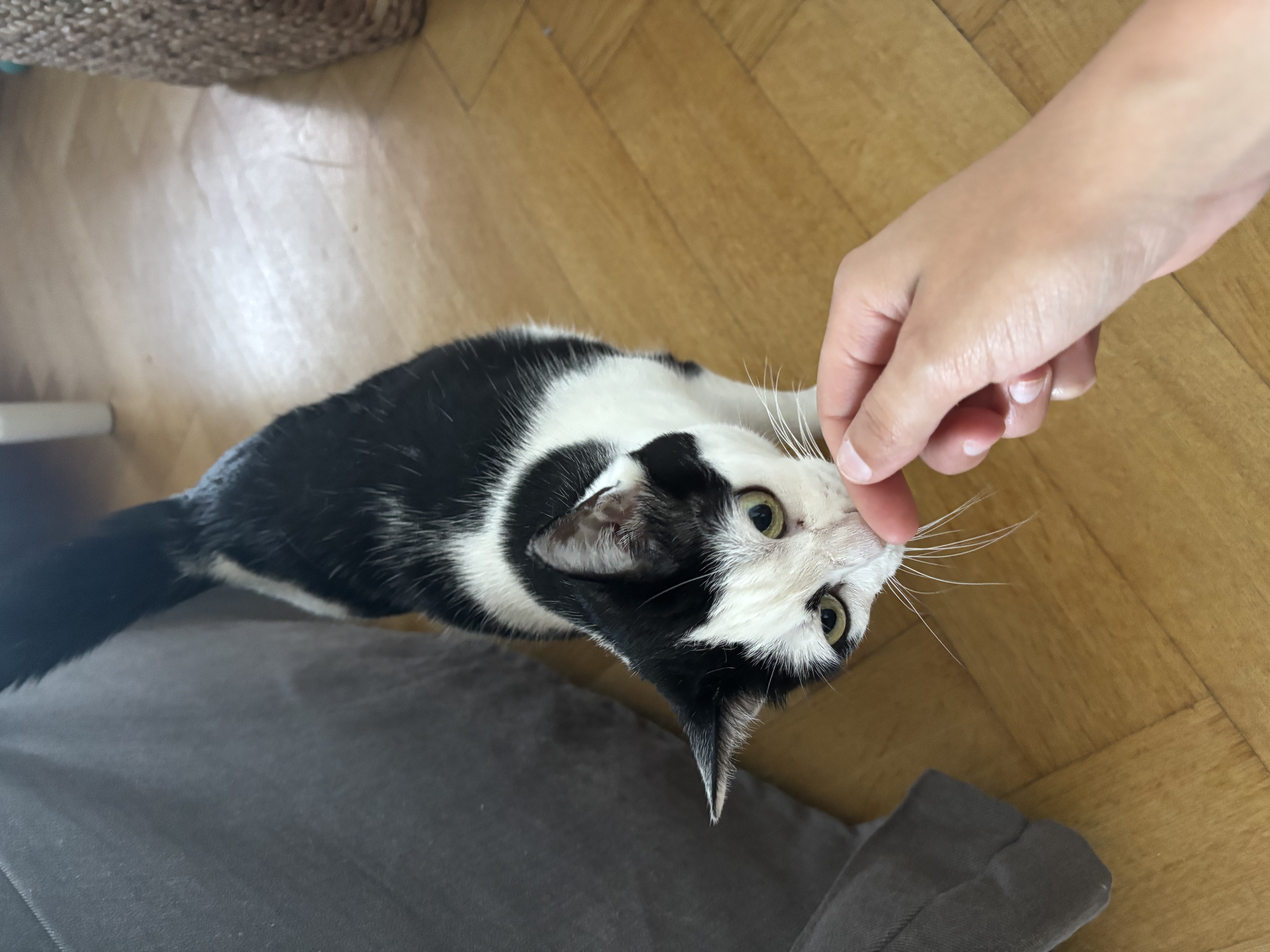 image-14