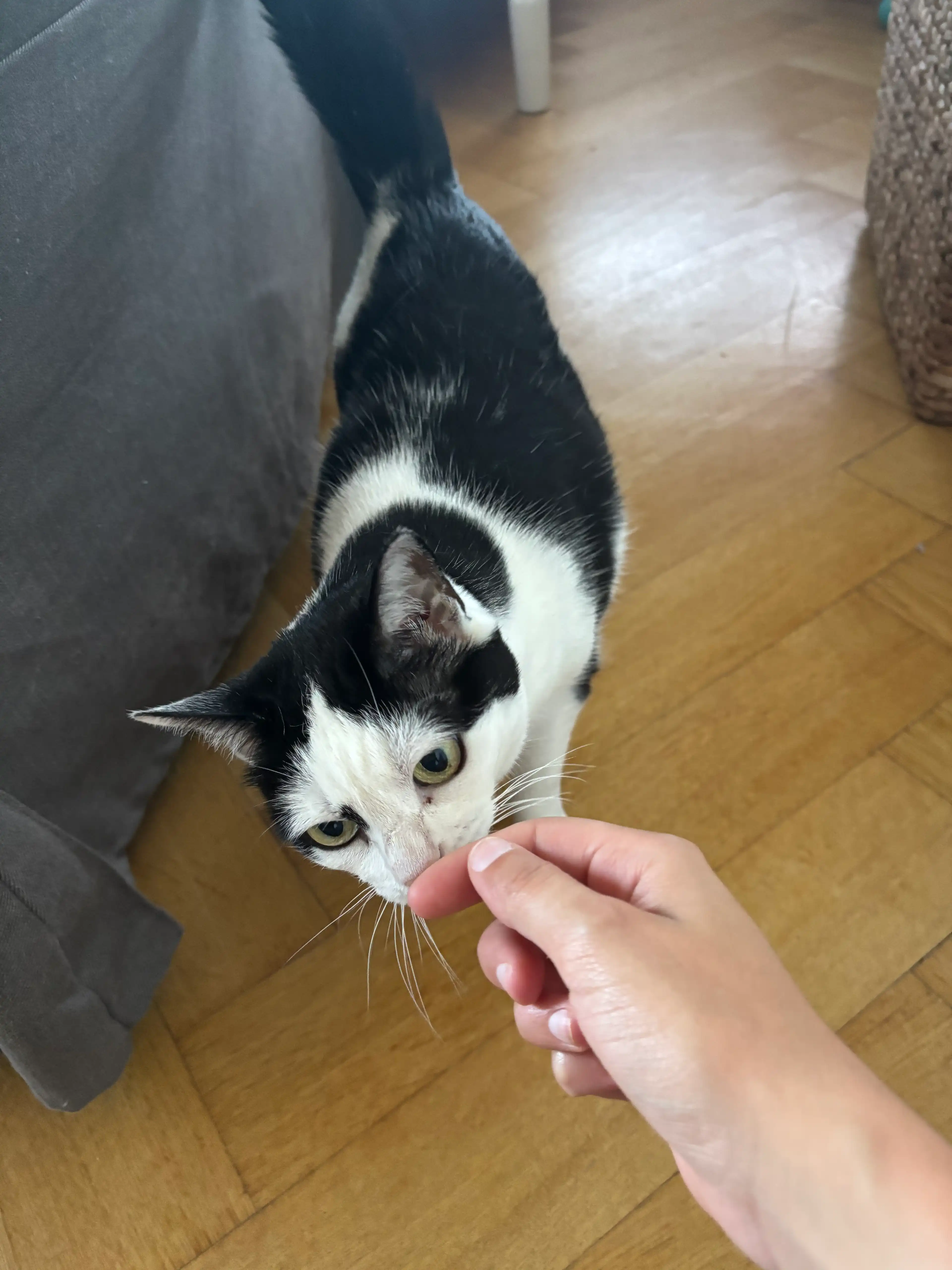 image-14