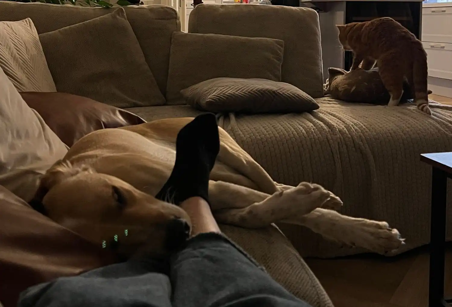 image-10