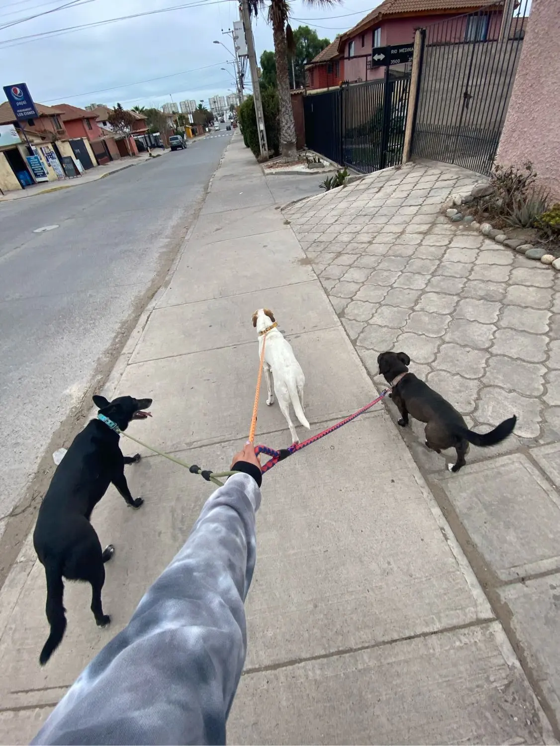 image-4