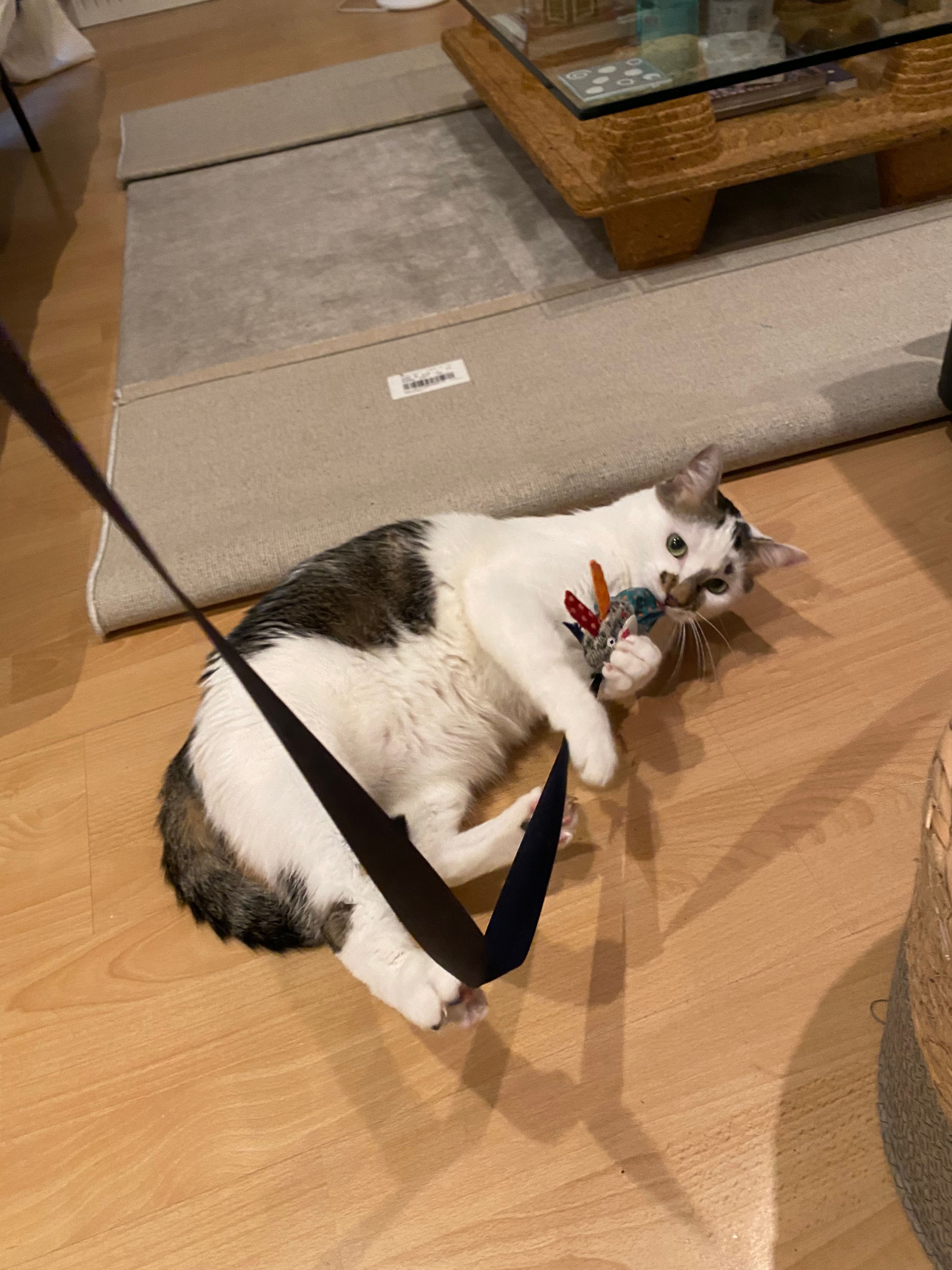 image-13