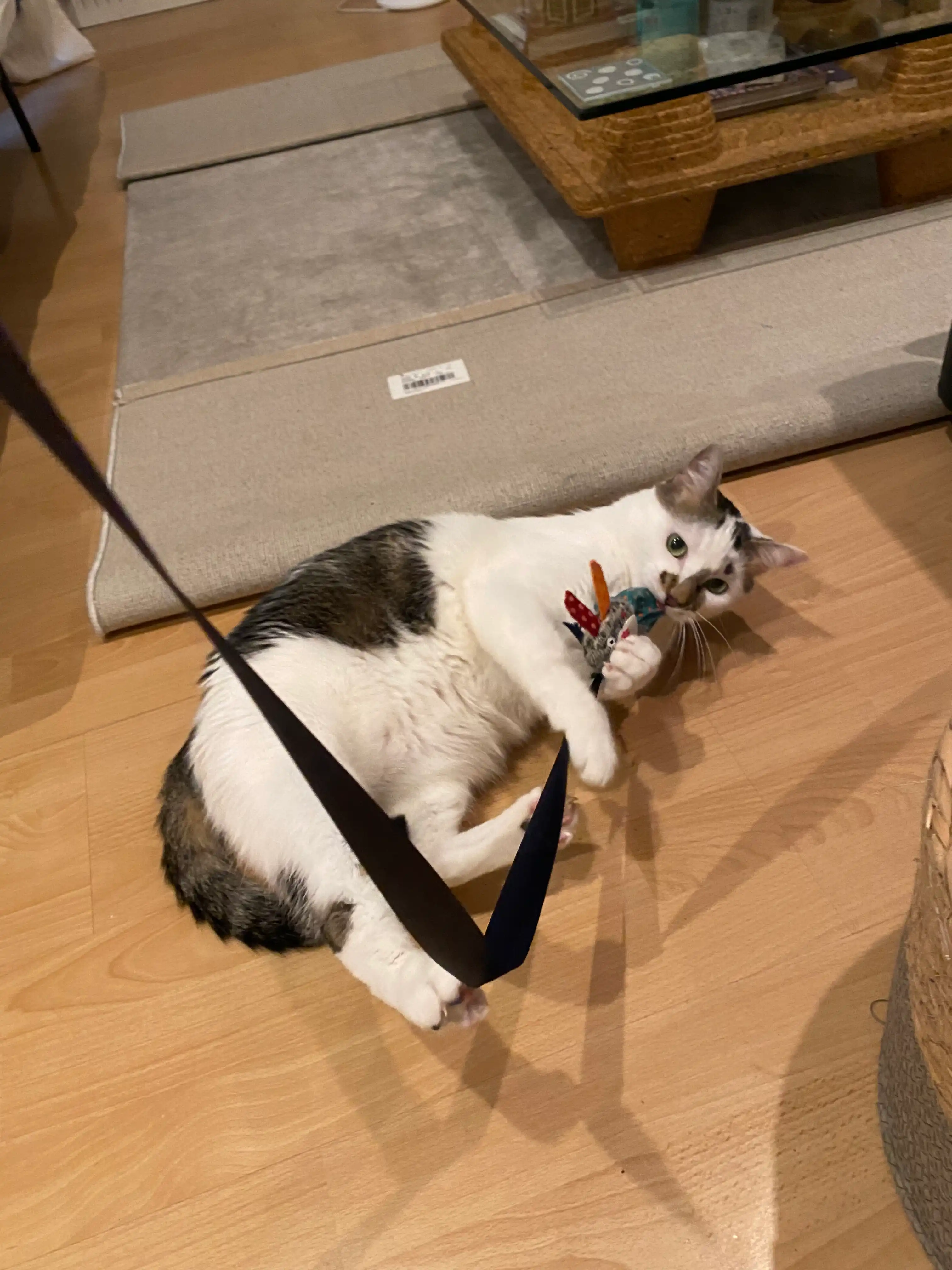 image-13