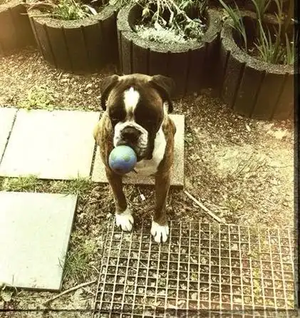 image-6