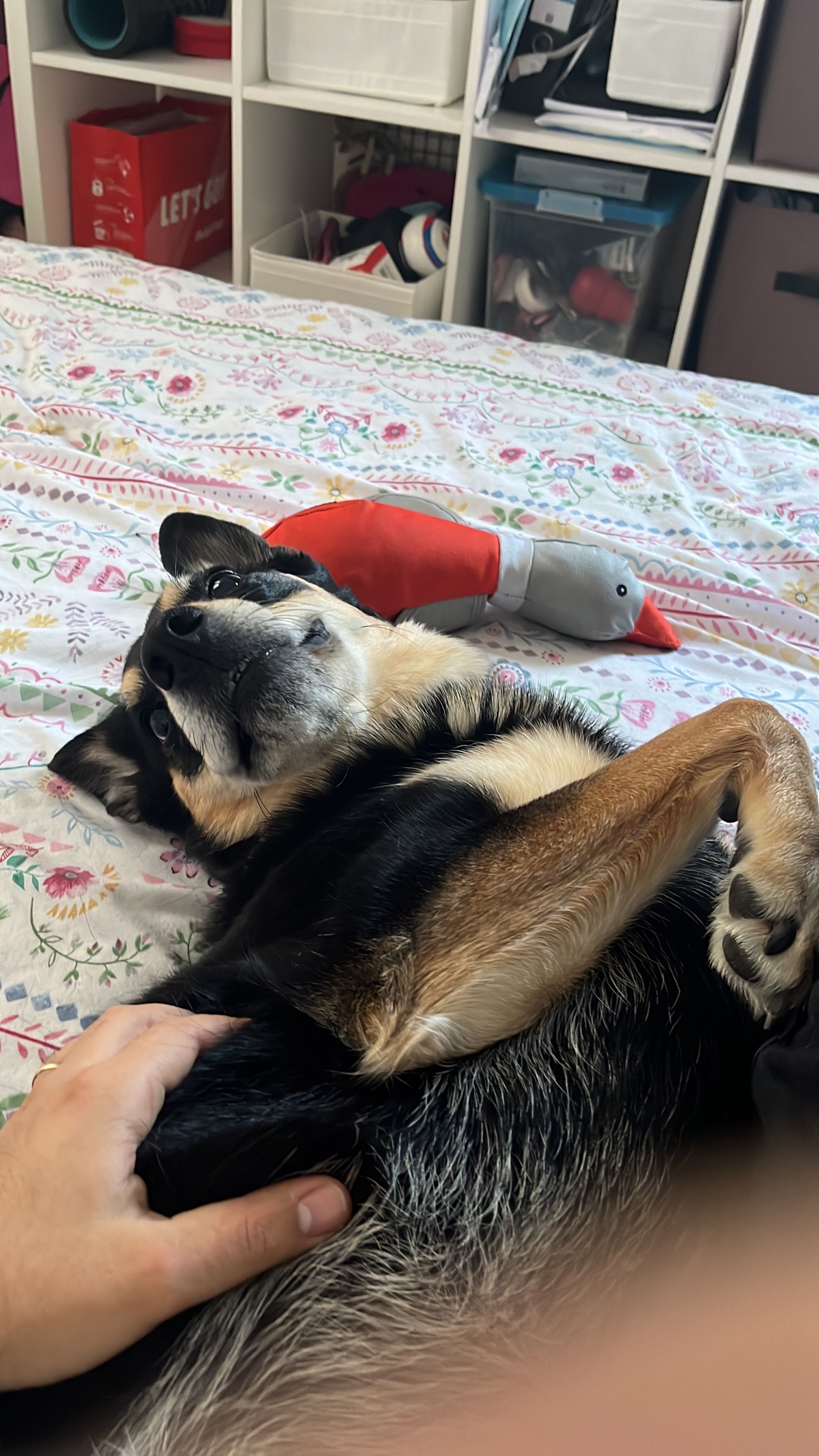 image-10