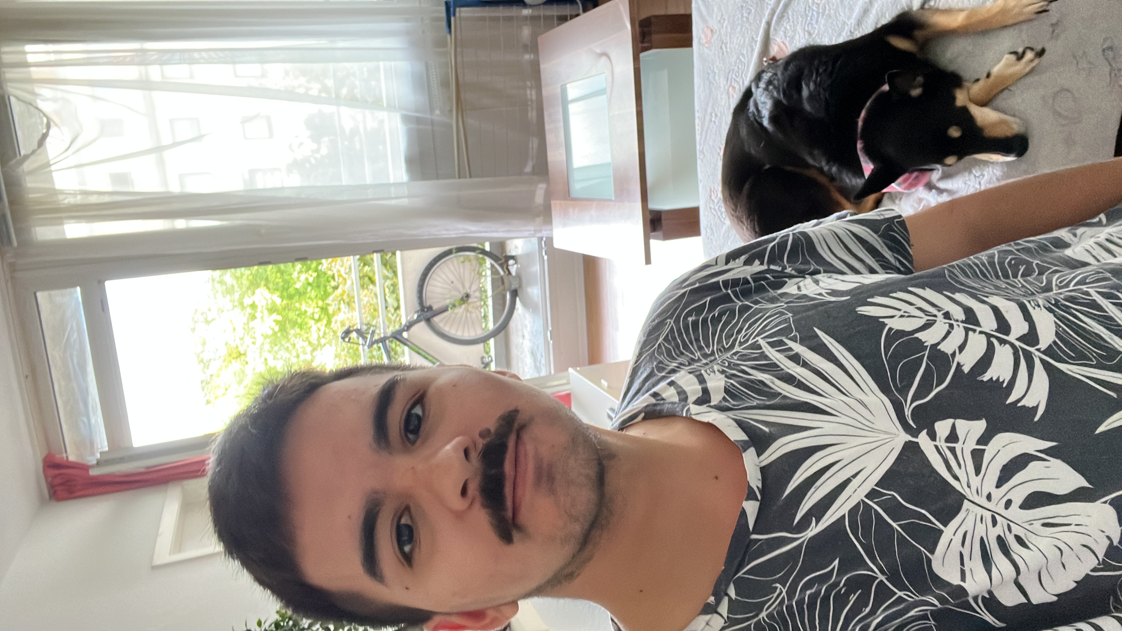 image-4