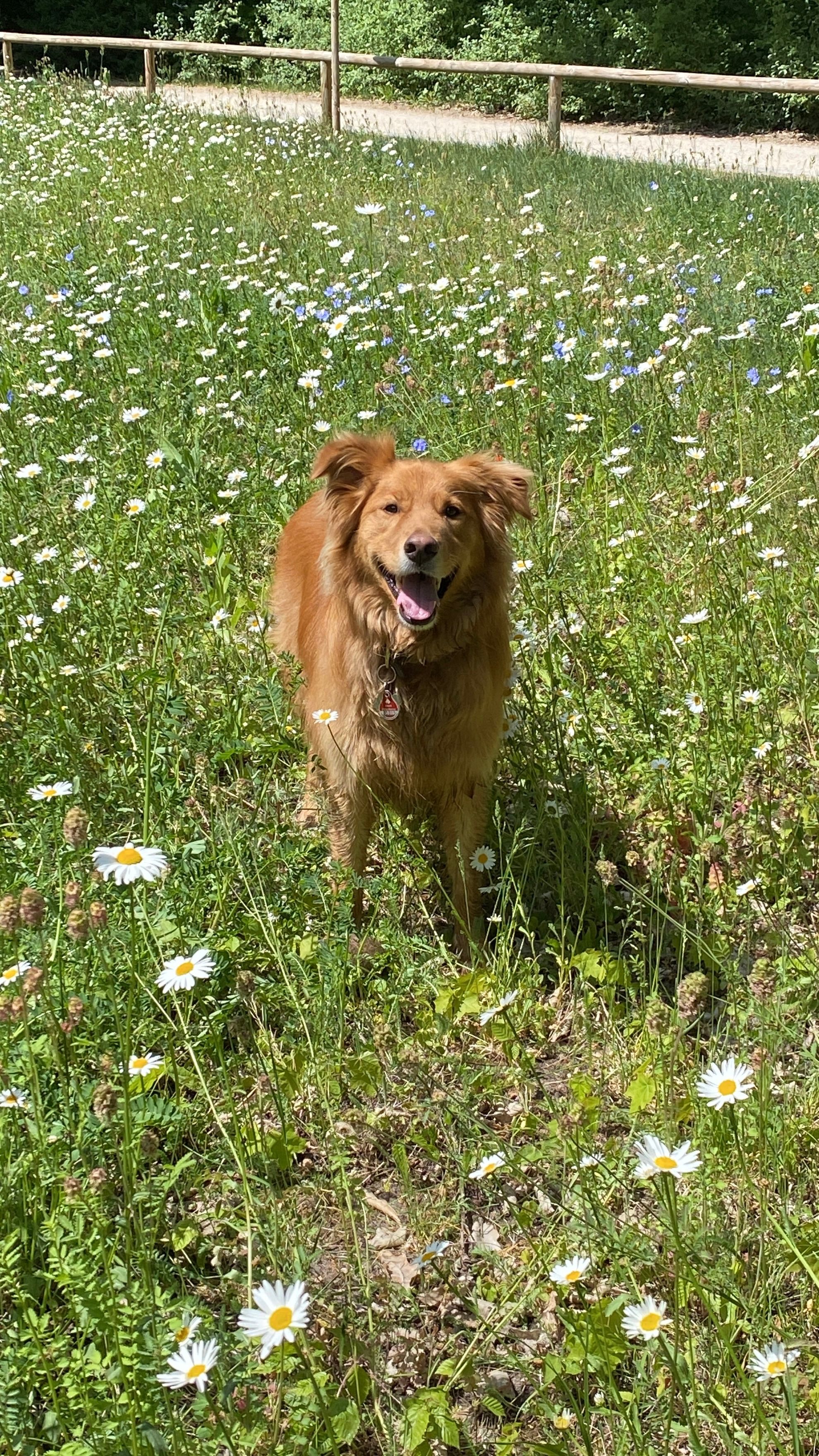 image-6