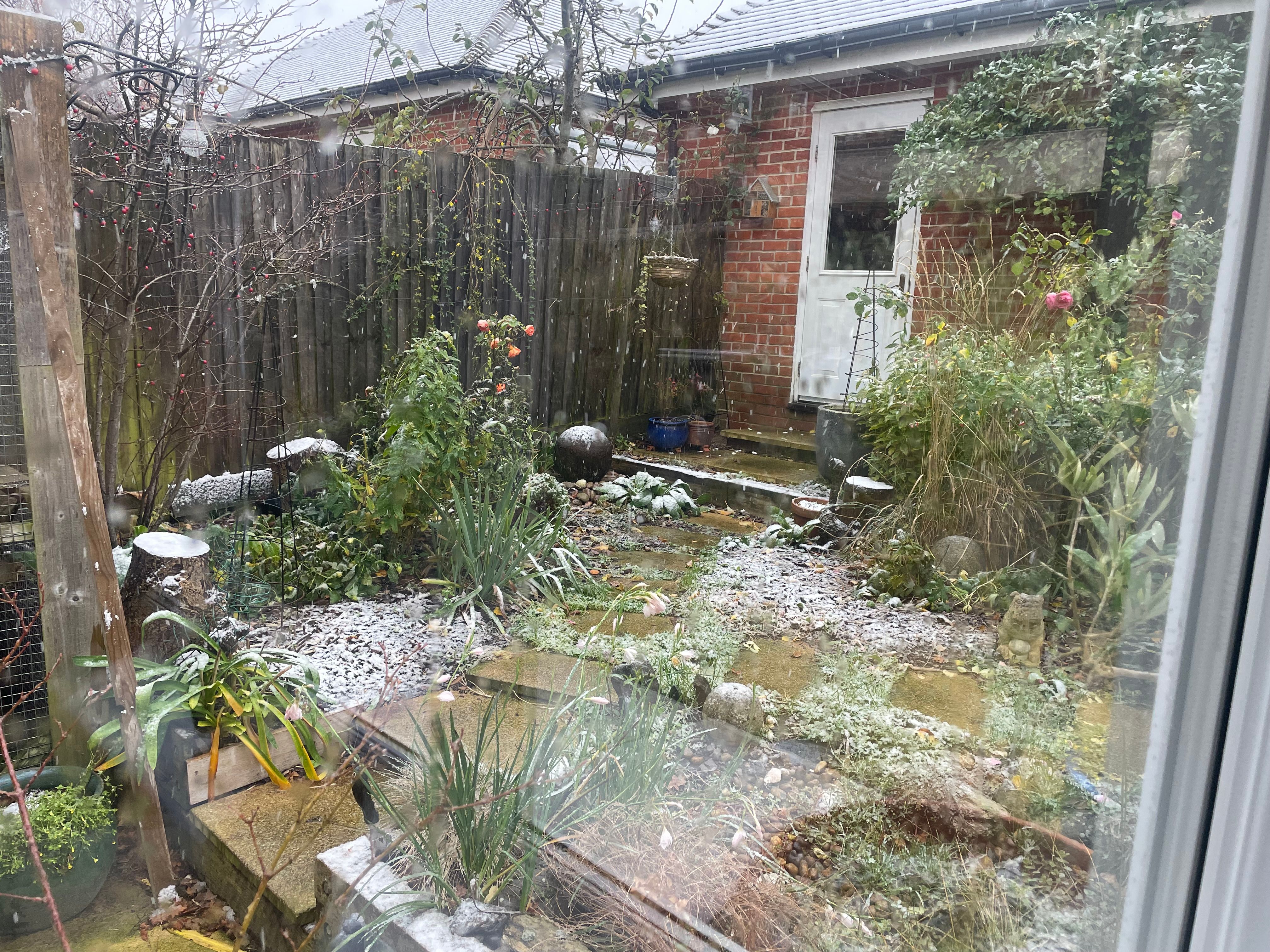 image-13
