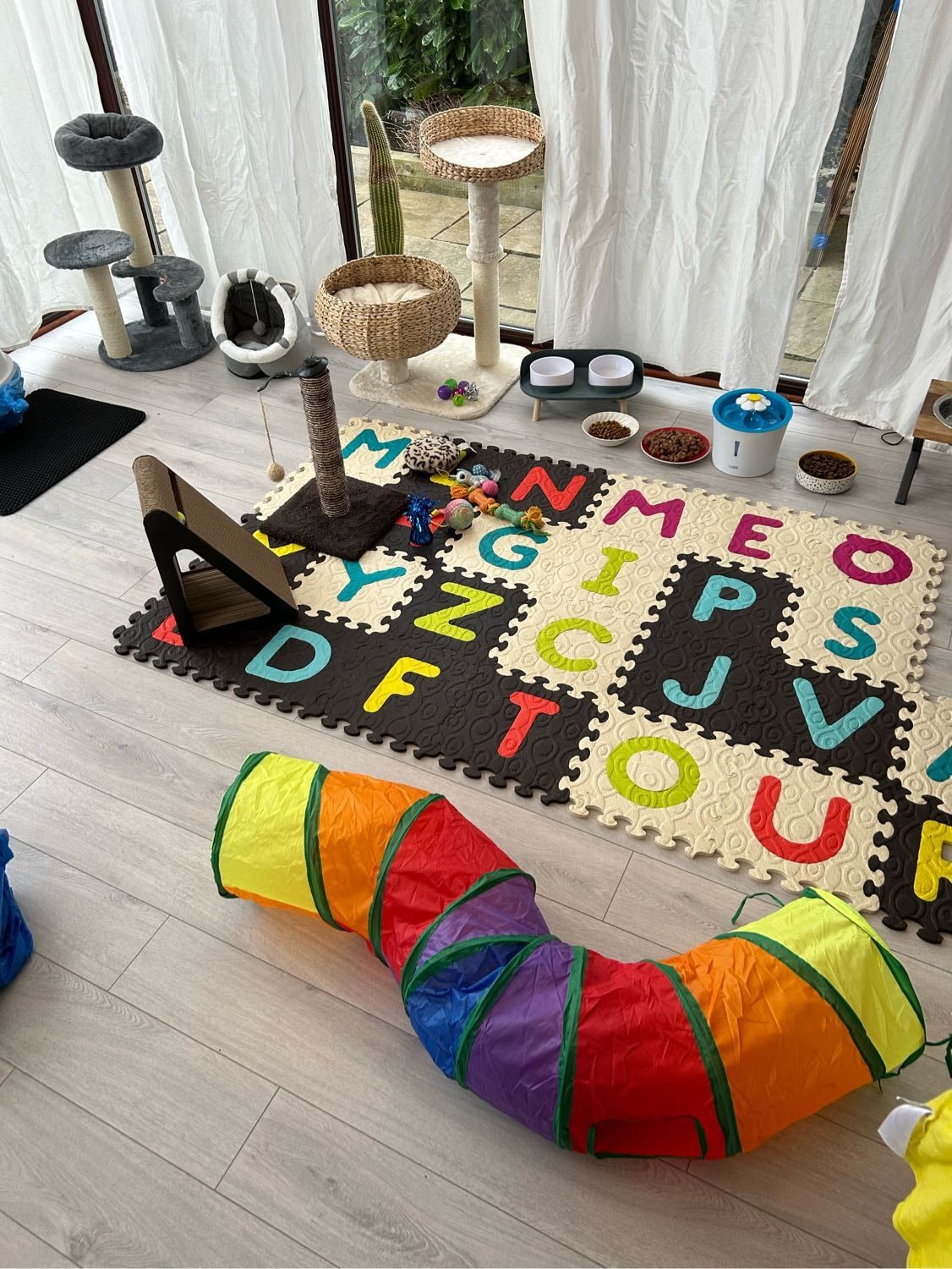 image-12