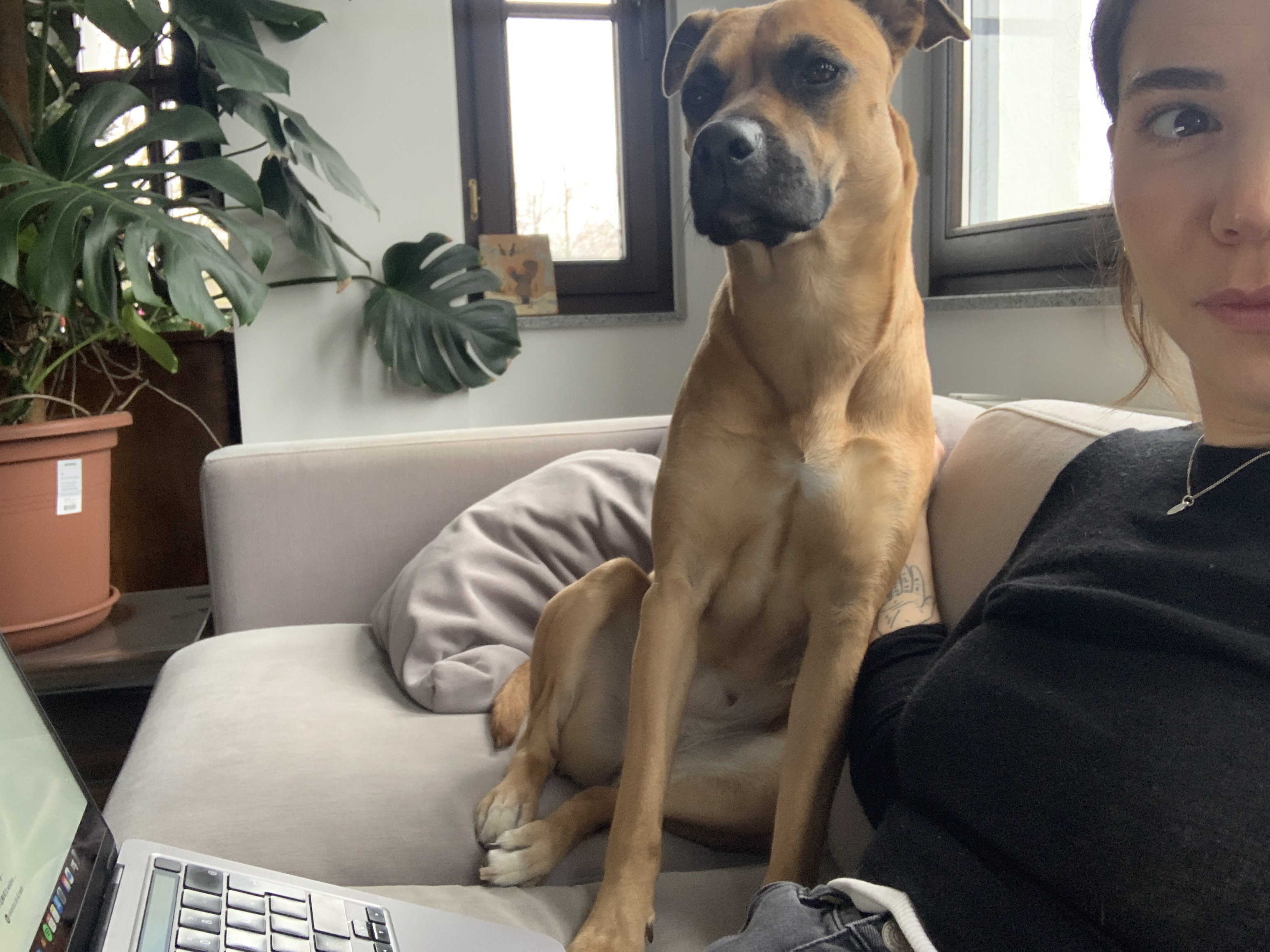 image-7