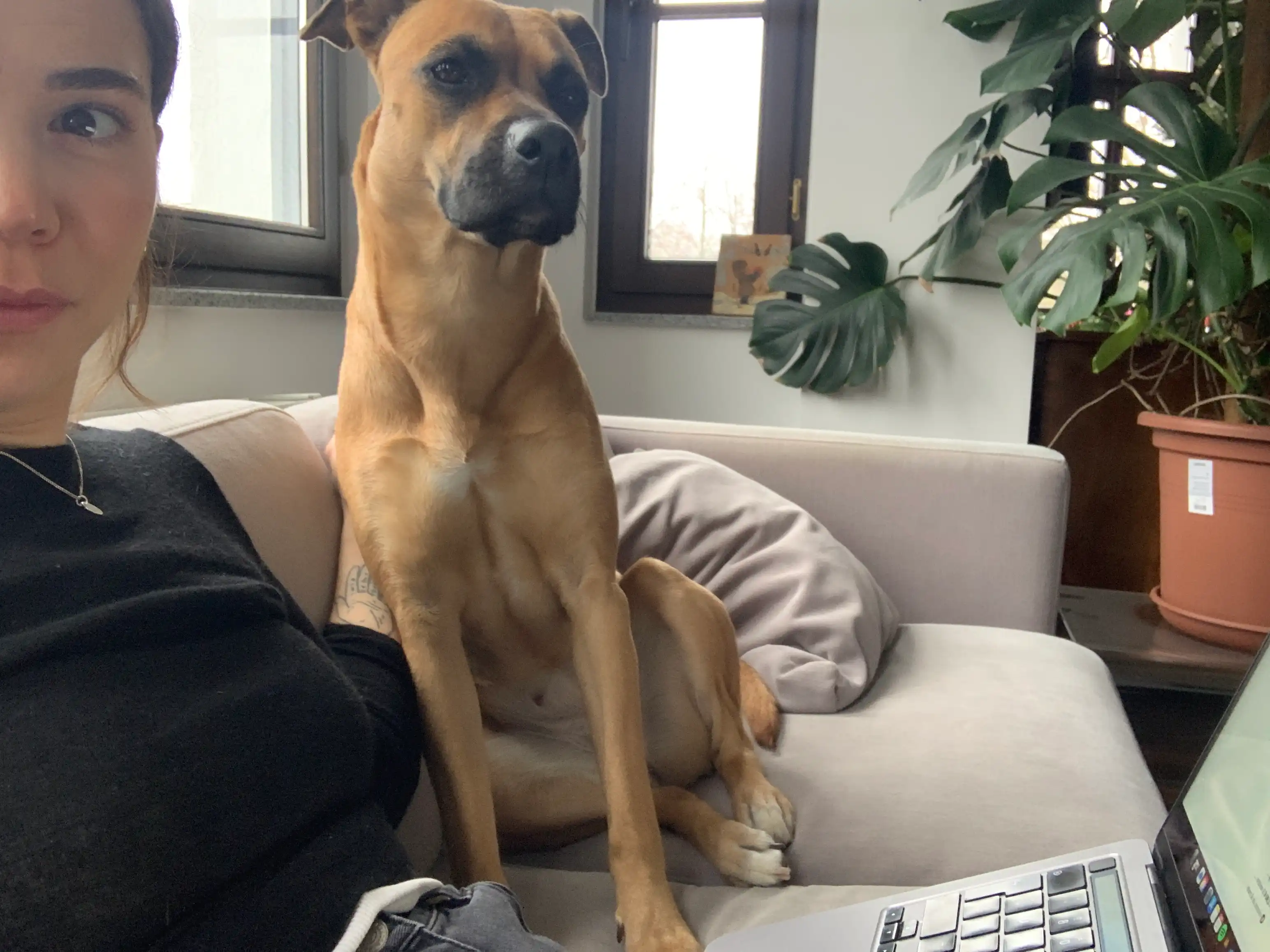 image-7