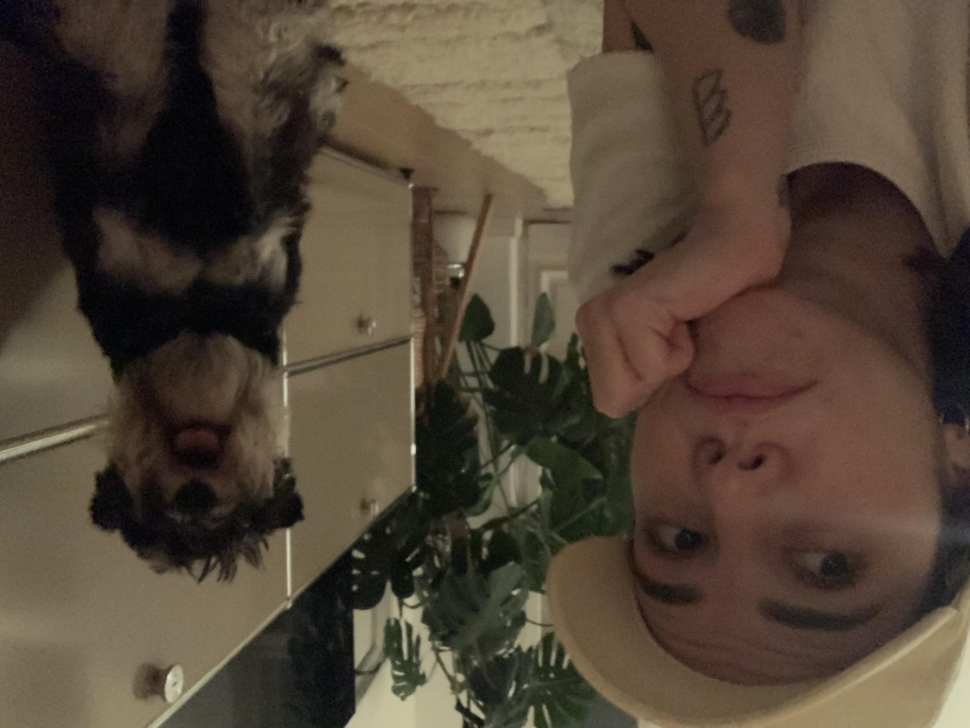 image-6
