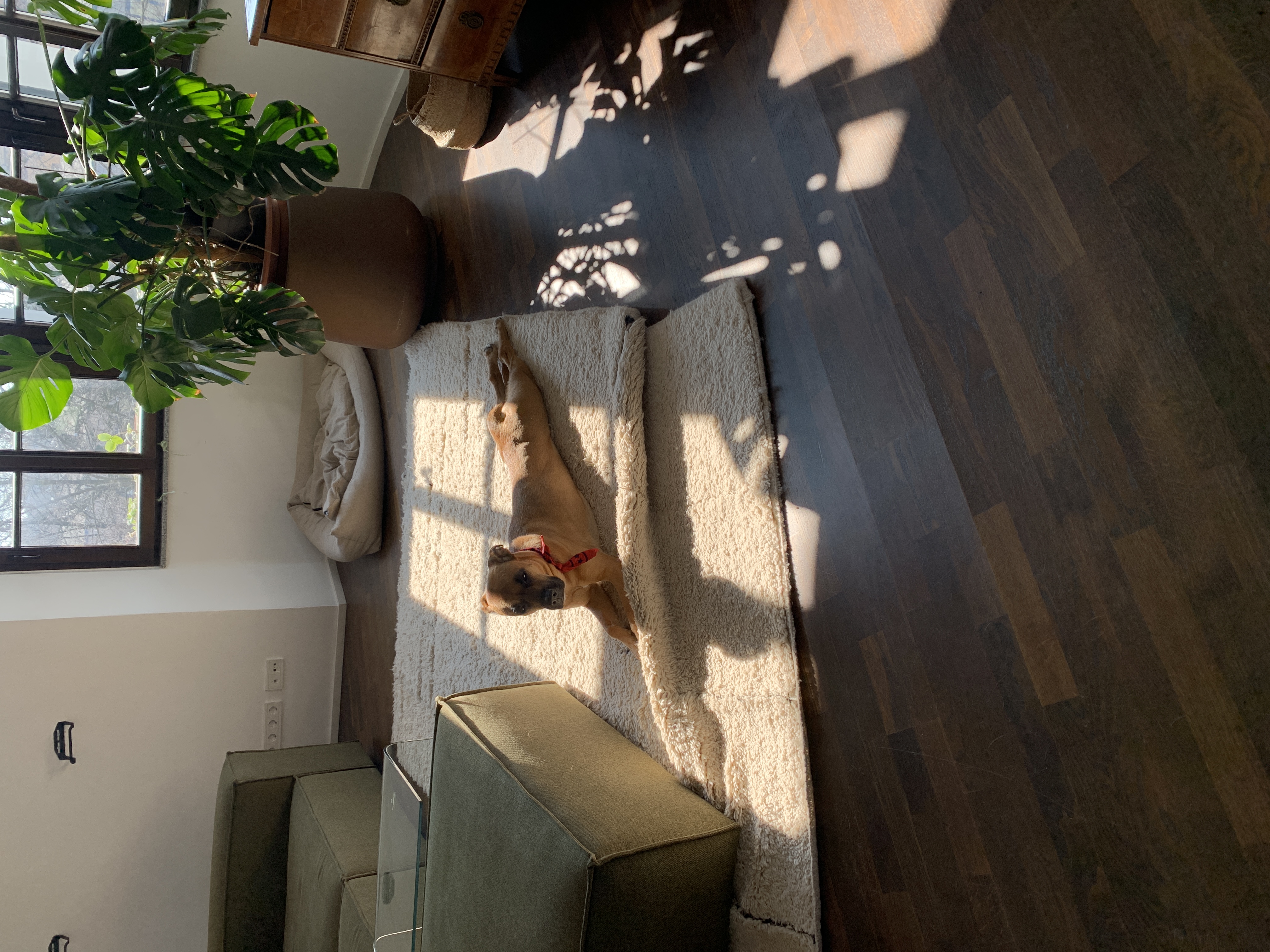 image-9